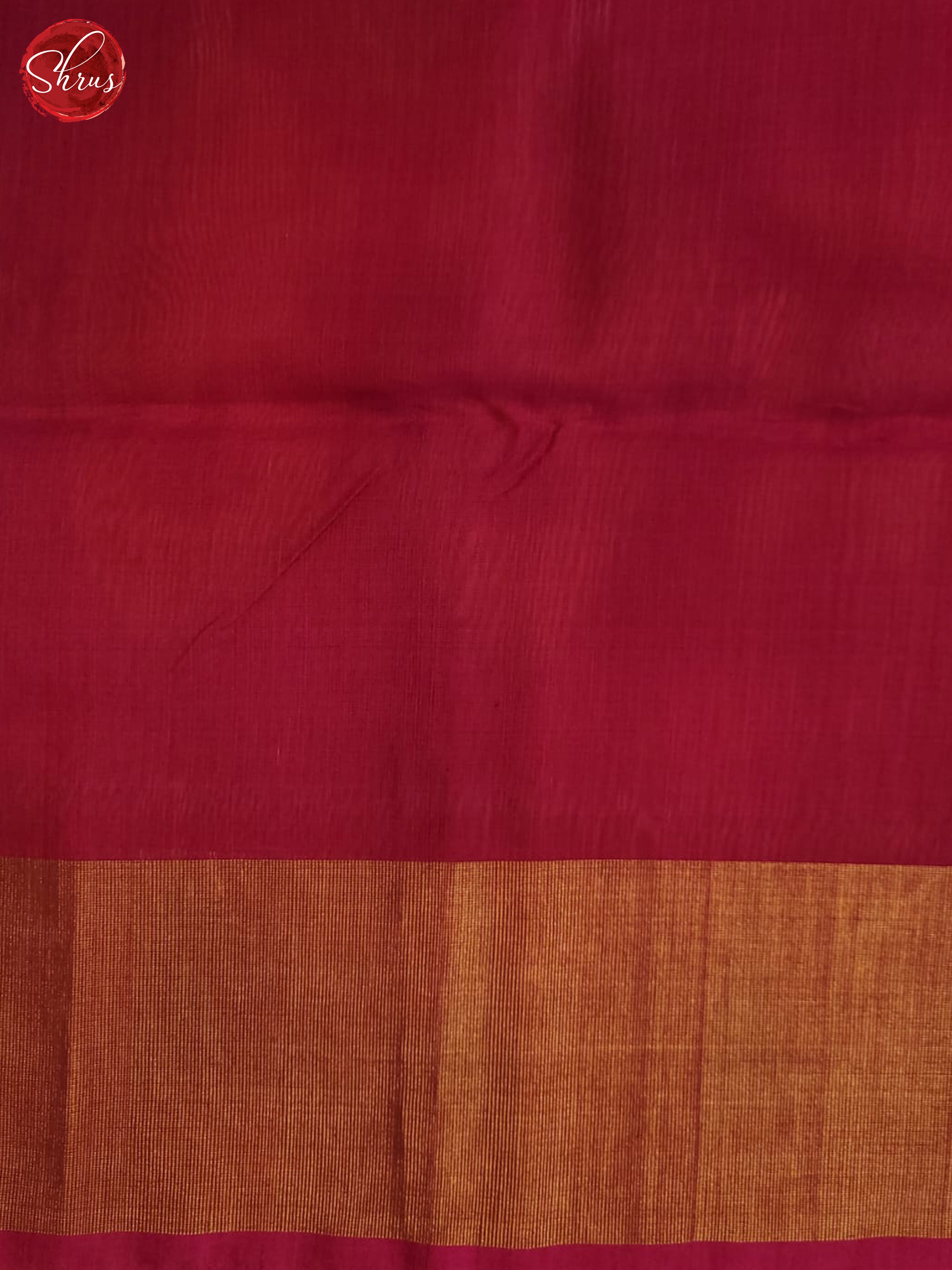 BFS22100 - Pochampally silk cotton Saree - Shop on ShrusEternity.com