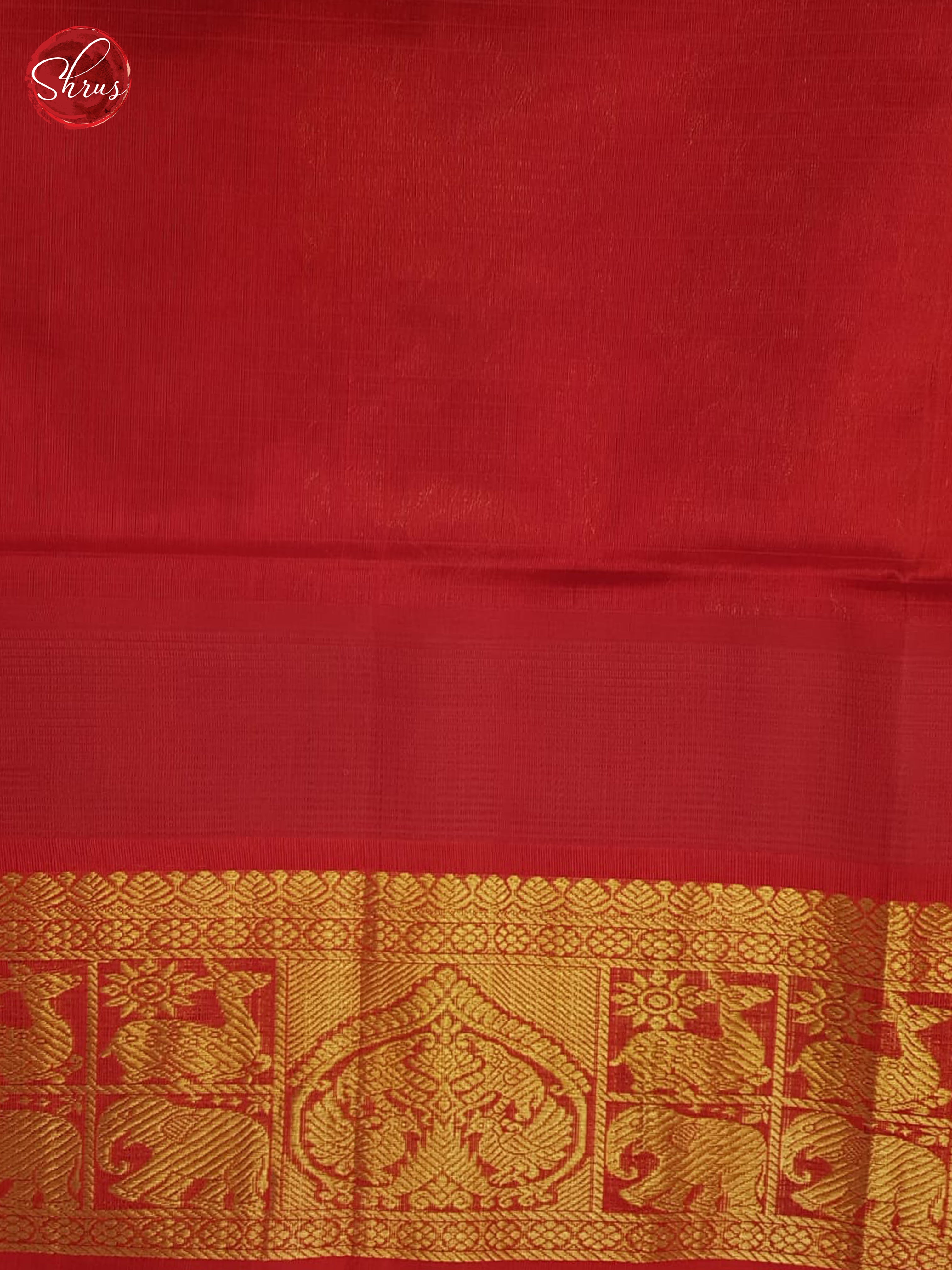 Blue And Red-Silk Cotton Saree - Shop on ShrusEternity.com