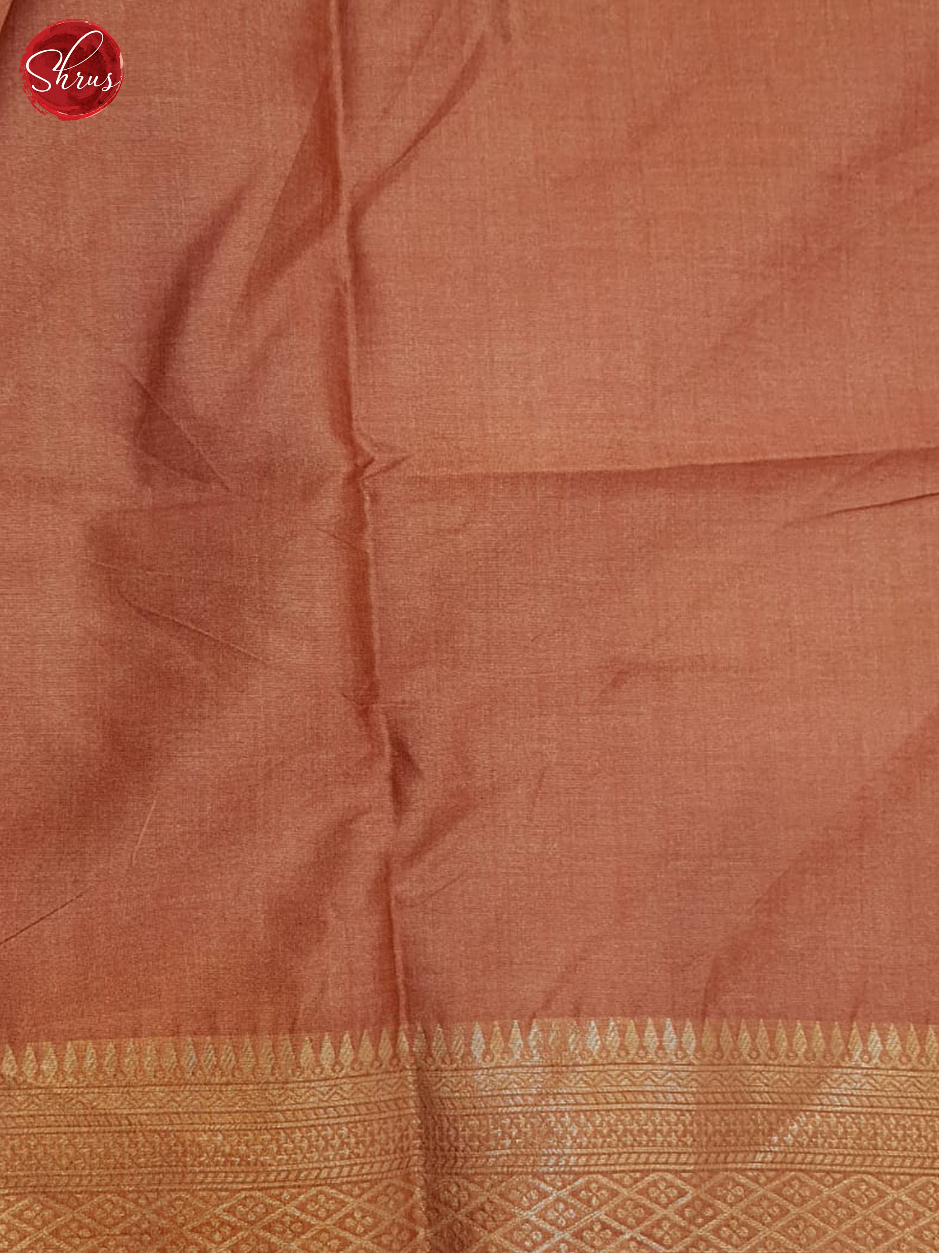 Brick Orange & Grey- Semi Tussar Saree - Shop on ShrusEternity.com