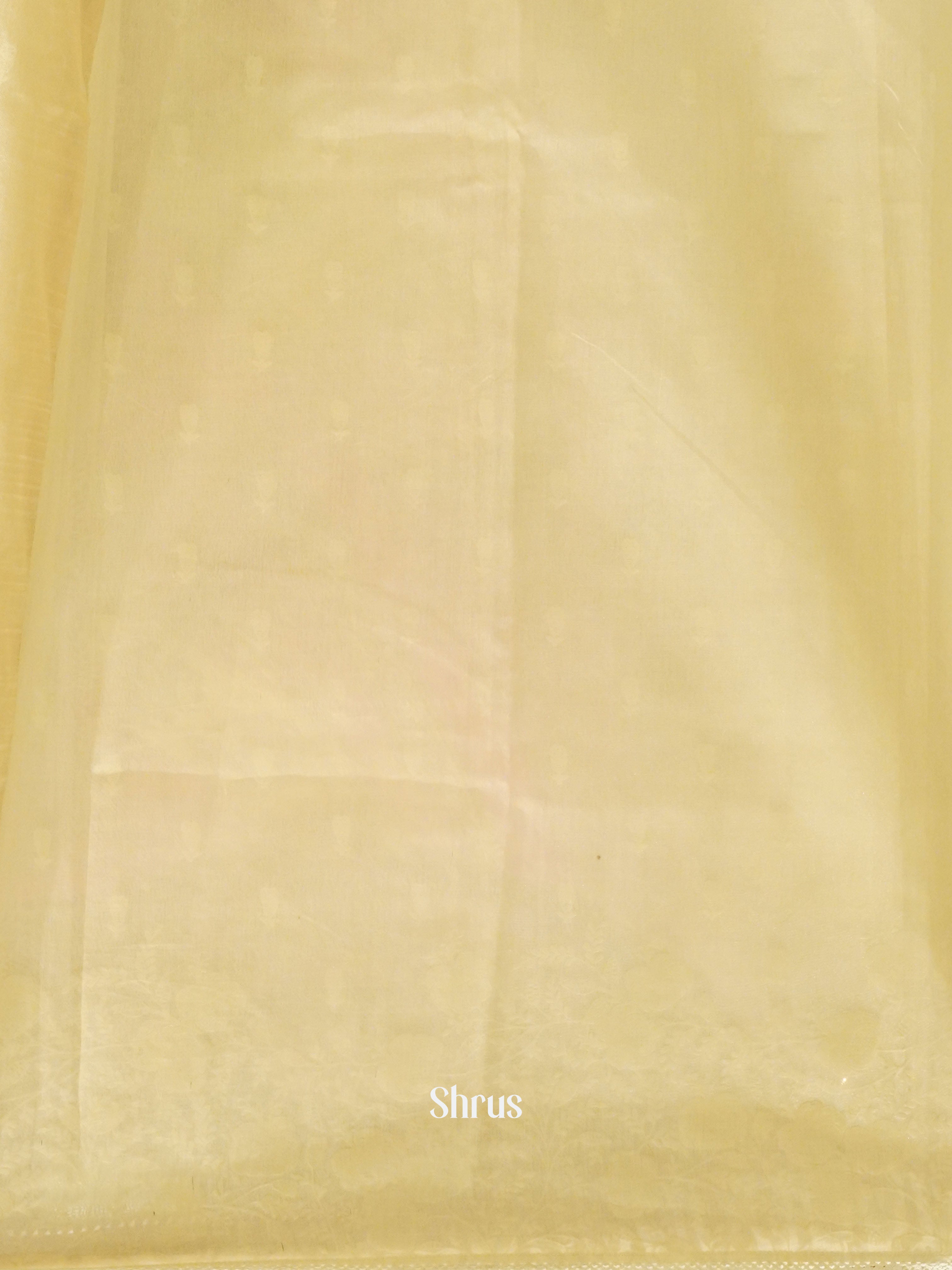 Cream - Semi Organza Saree