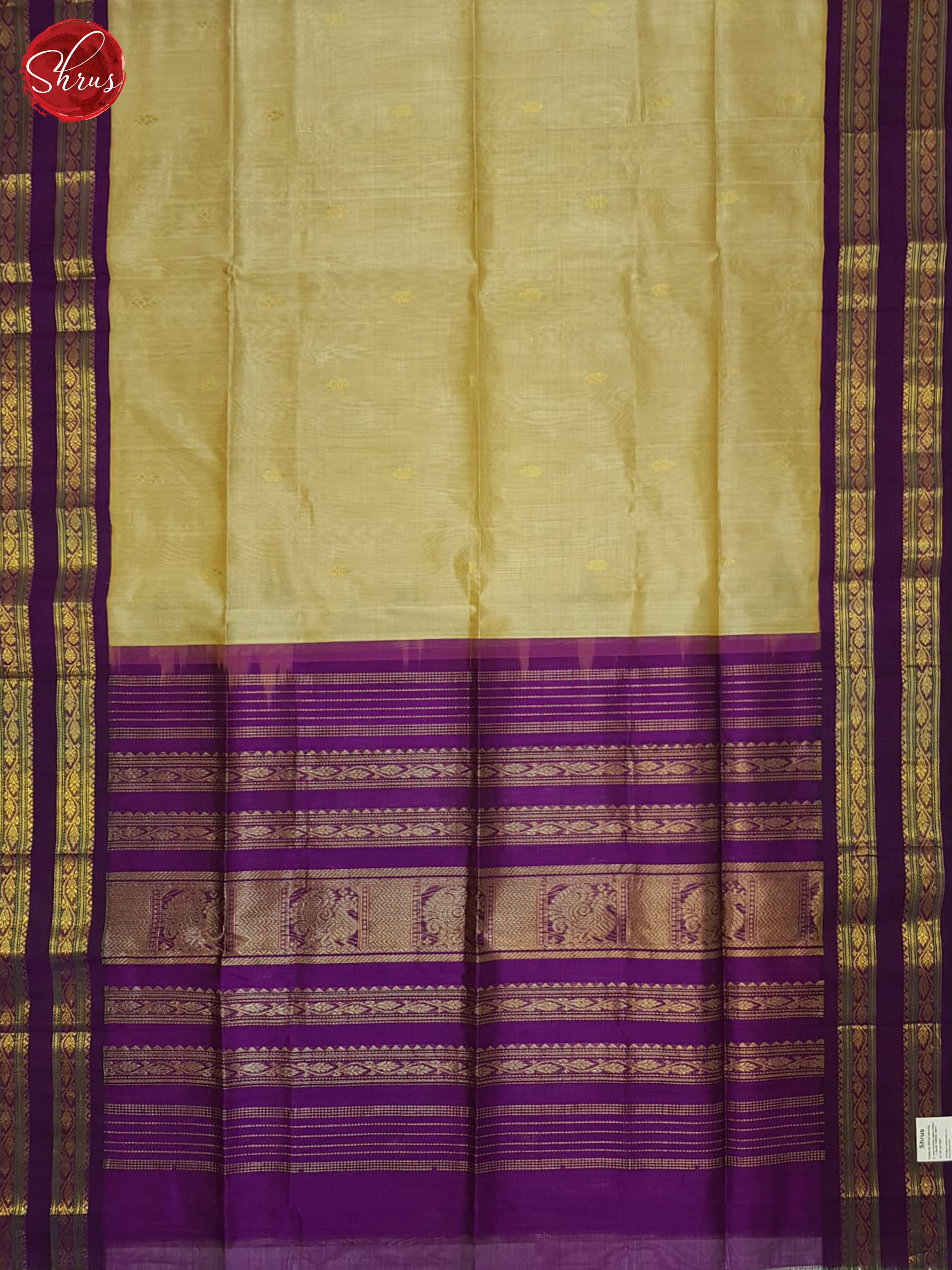 Beige &  Purple  - Silk Cotton Saree - Shop on ShrusEternity.com