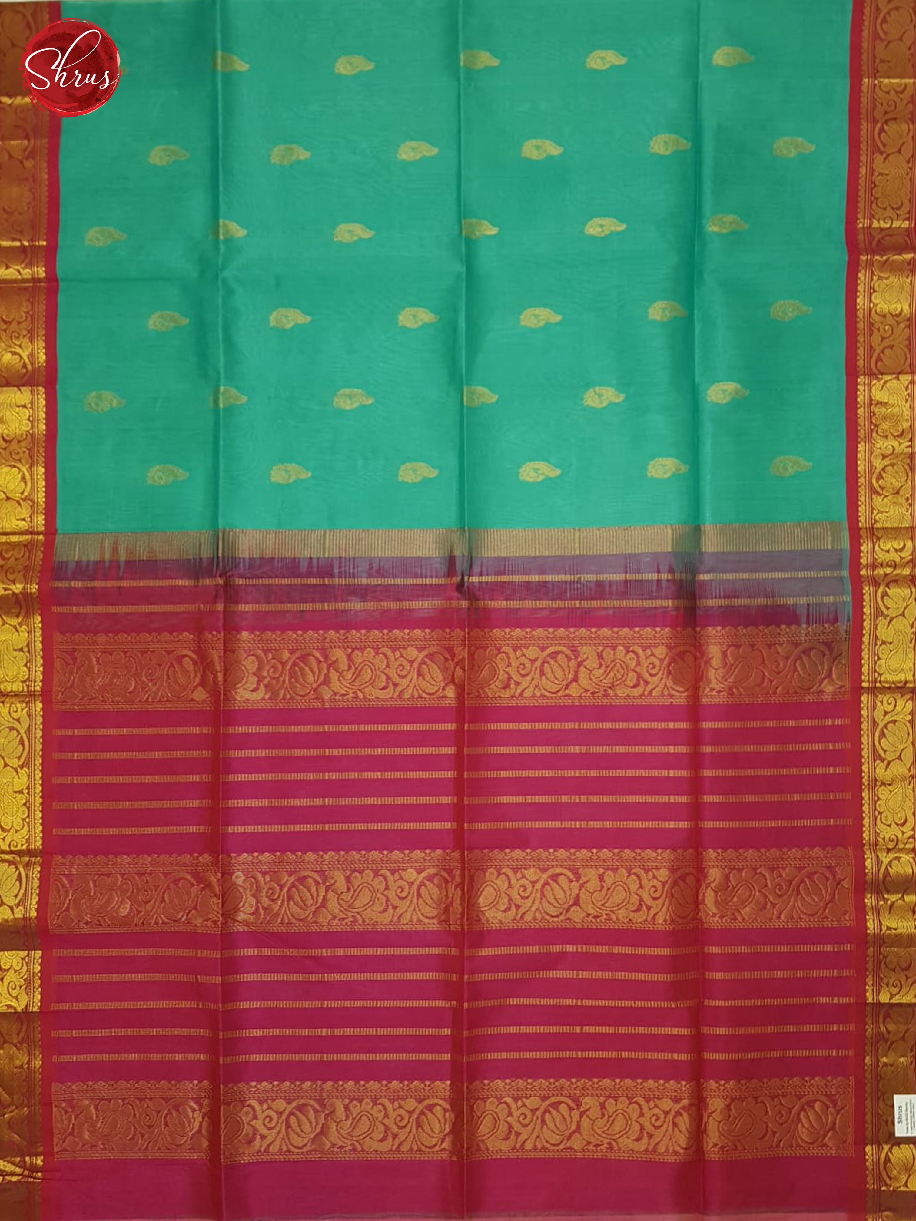 Teal Blue & Pink  - Silk Cotton Saree - Shop on ShrusEternity.com