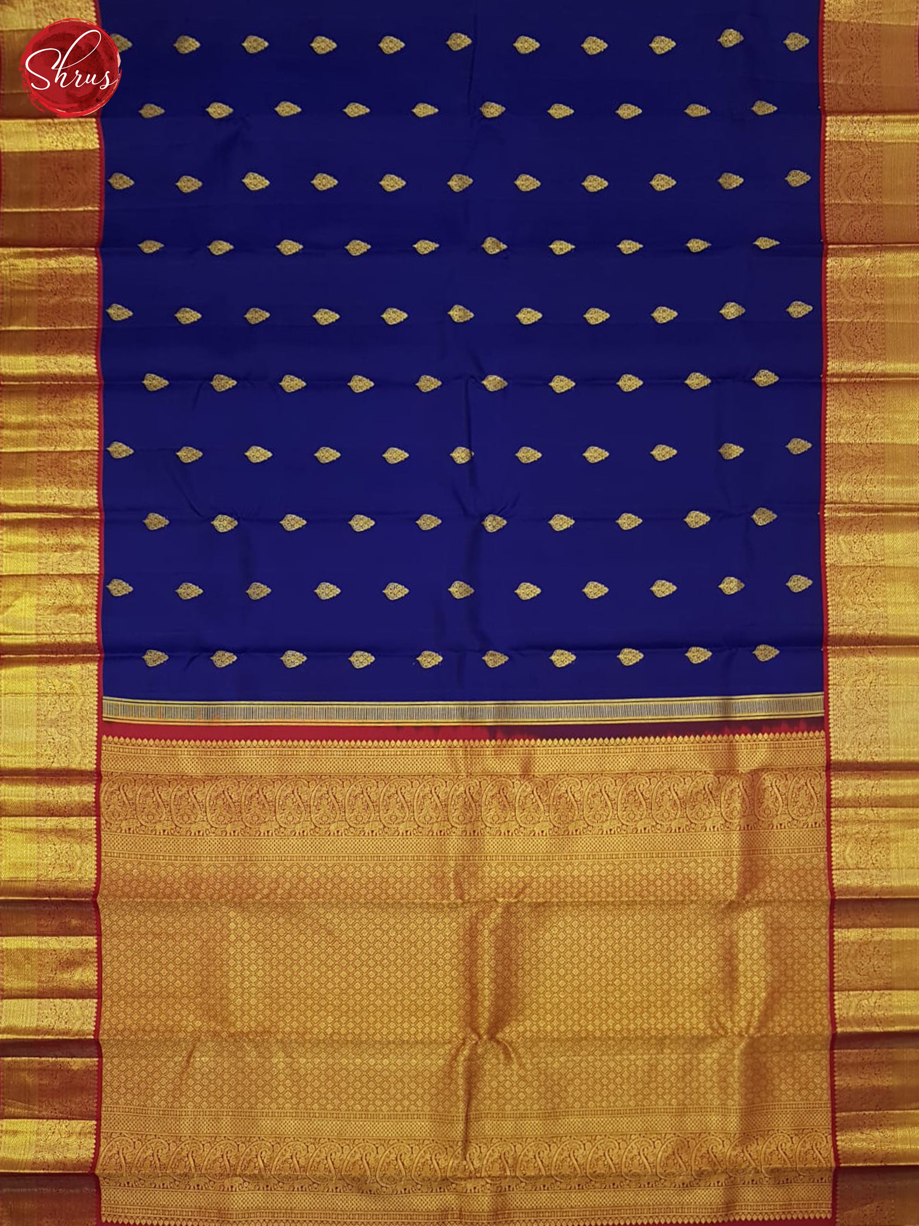 Blue And Red-Kanchipuram silk Saree - Shop on ShrusEternity.com