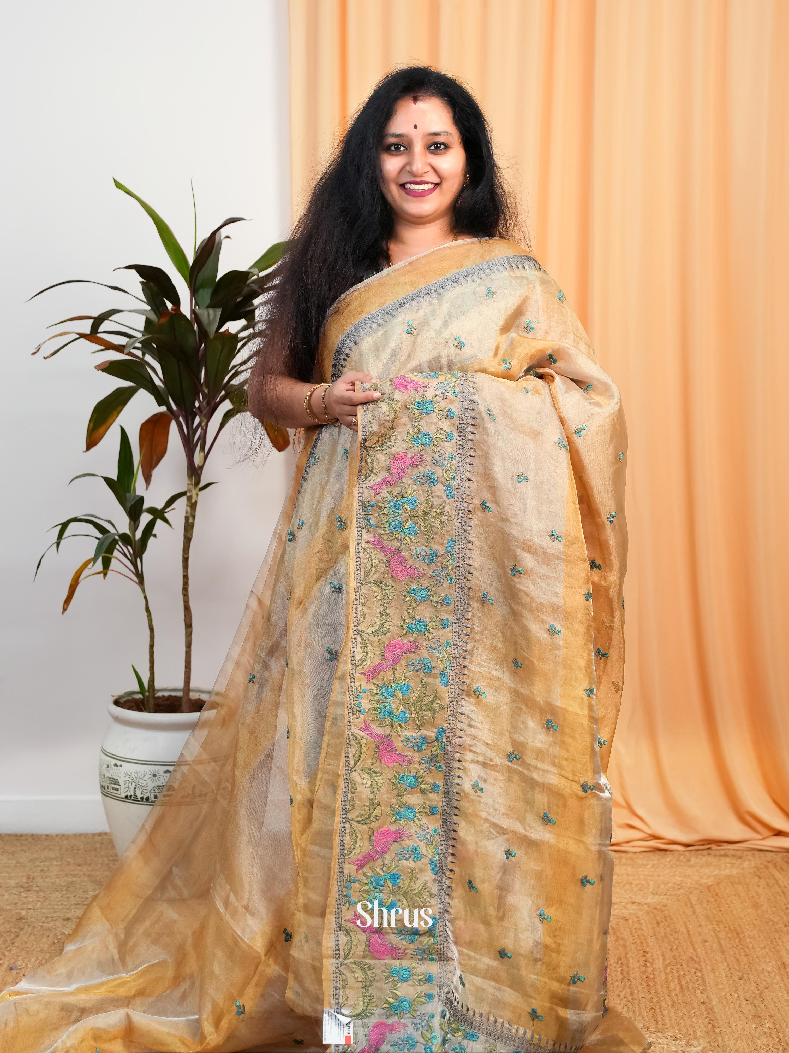 Beige(Single Tone)- Tissue Silk Saree