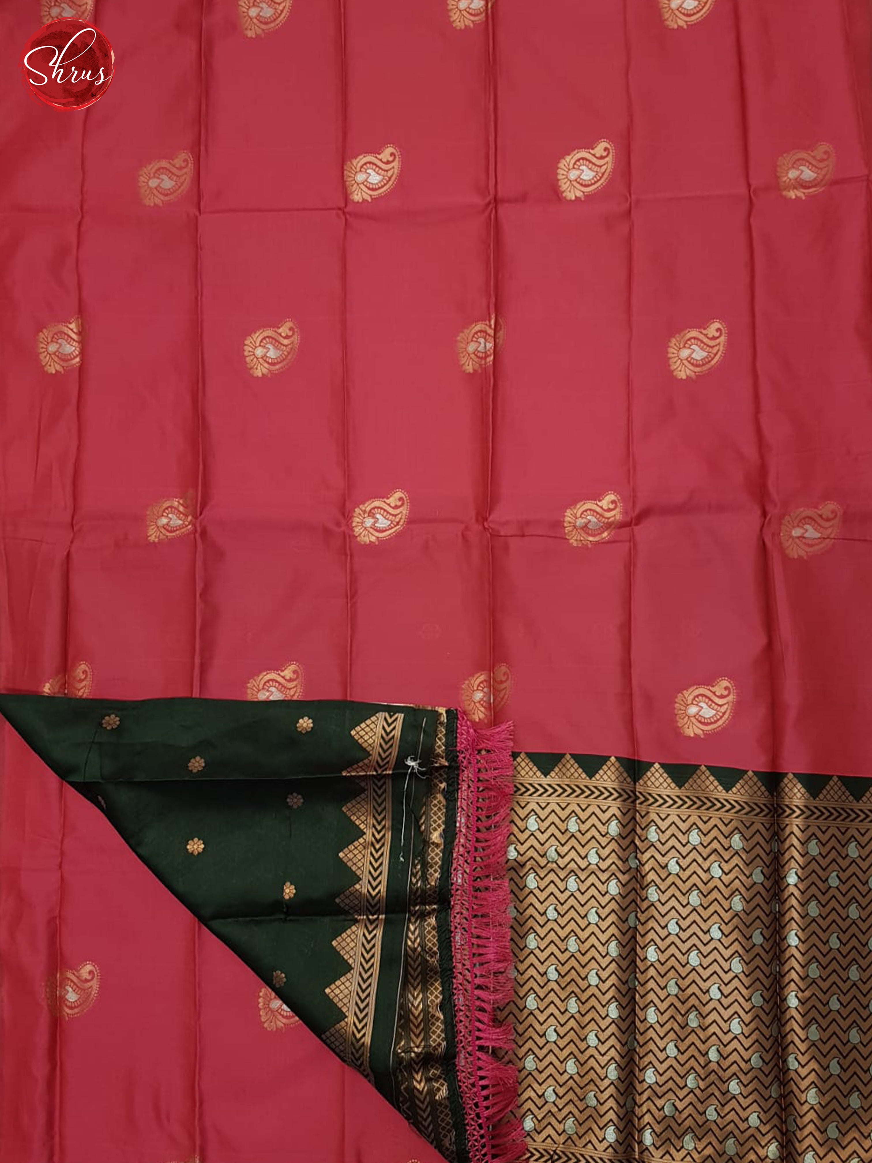 Pink And Green- Semi Soft Silk Saree - Shop on ShrusEternity.com