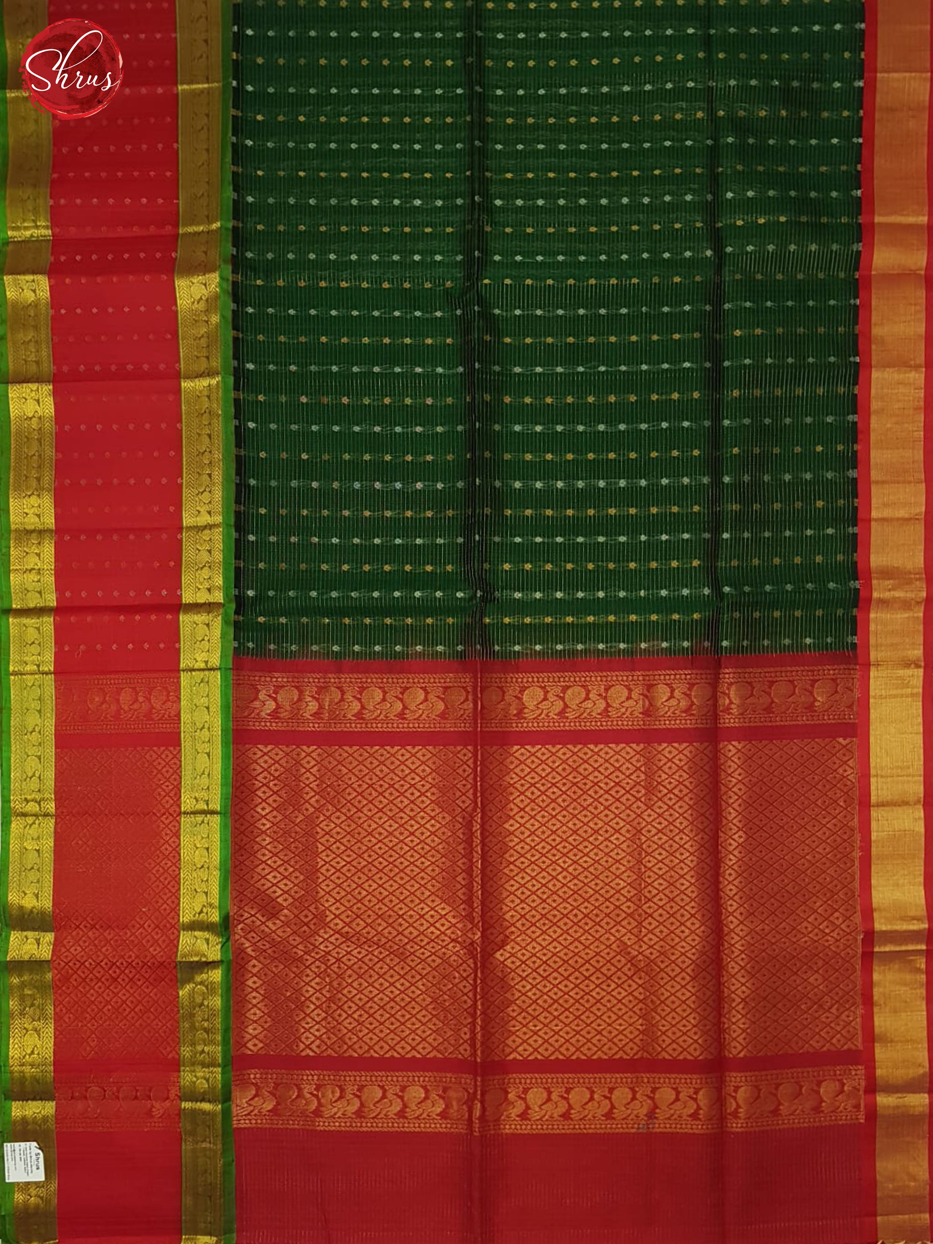 BHS24088 - Silk Cotton Saree - Shop on ShrusEternity.com