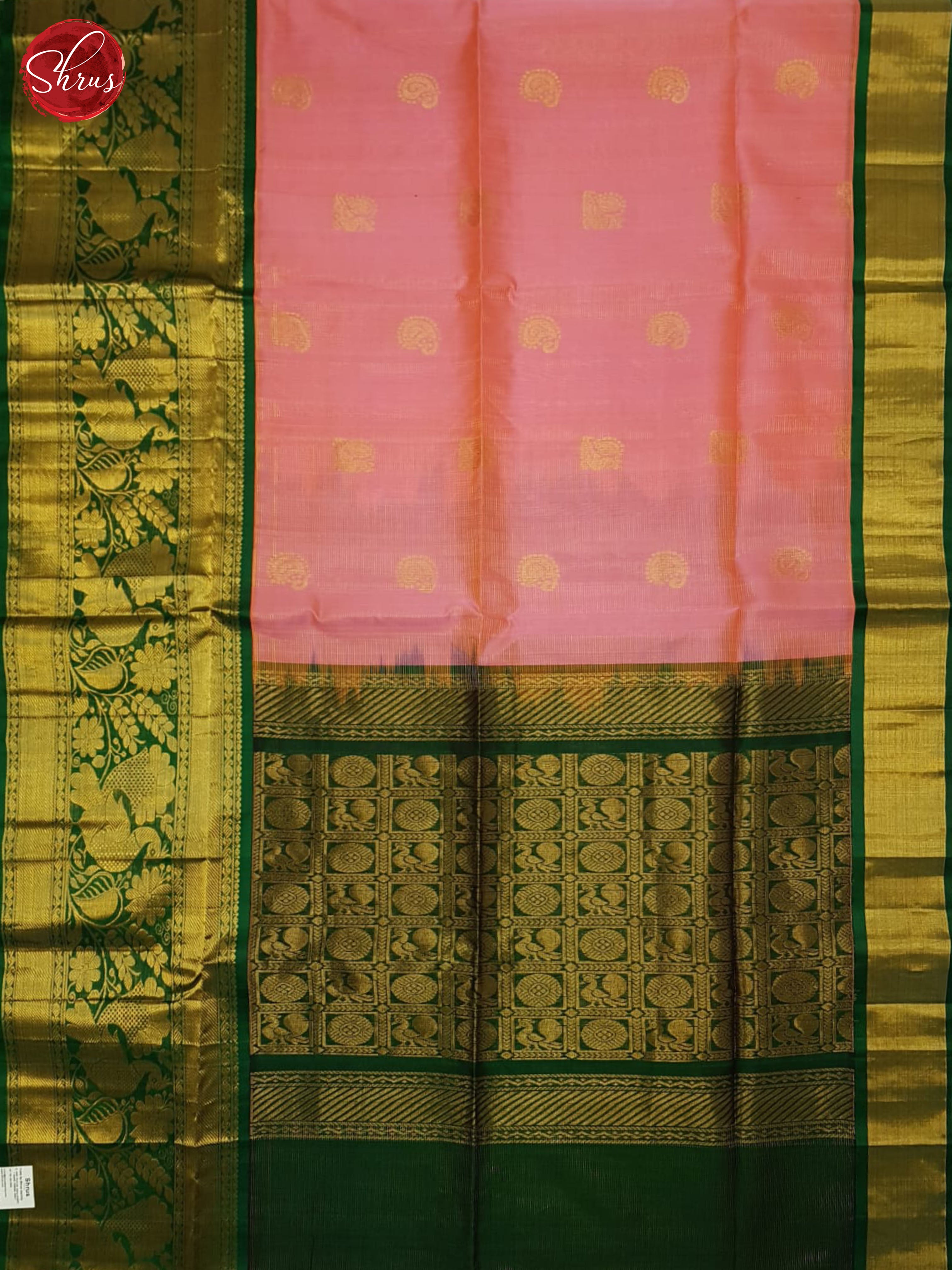 BHS24096 - Silk Cotton Saree - Shop on ShrusEternity.com