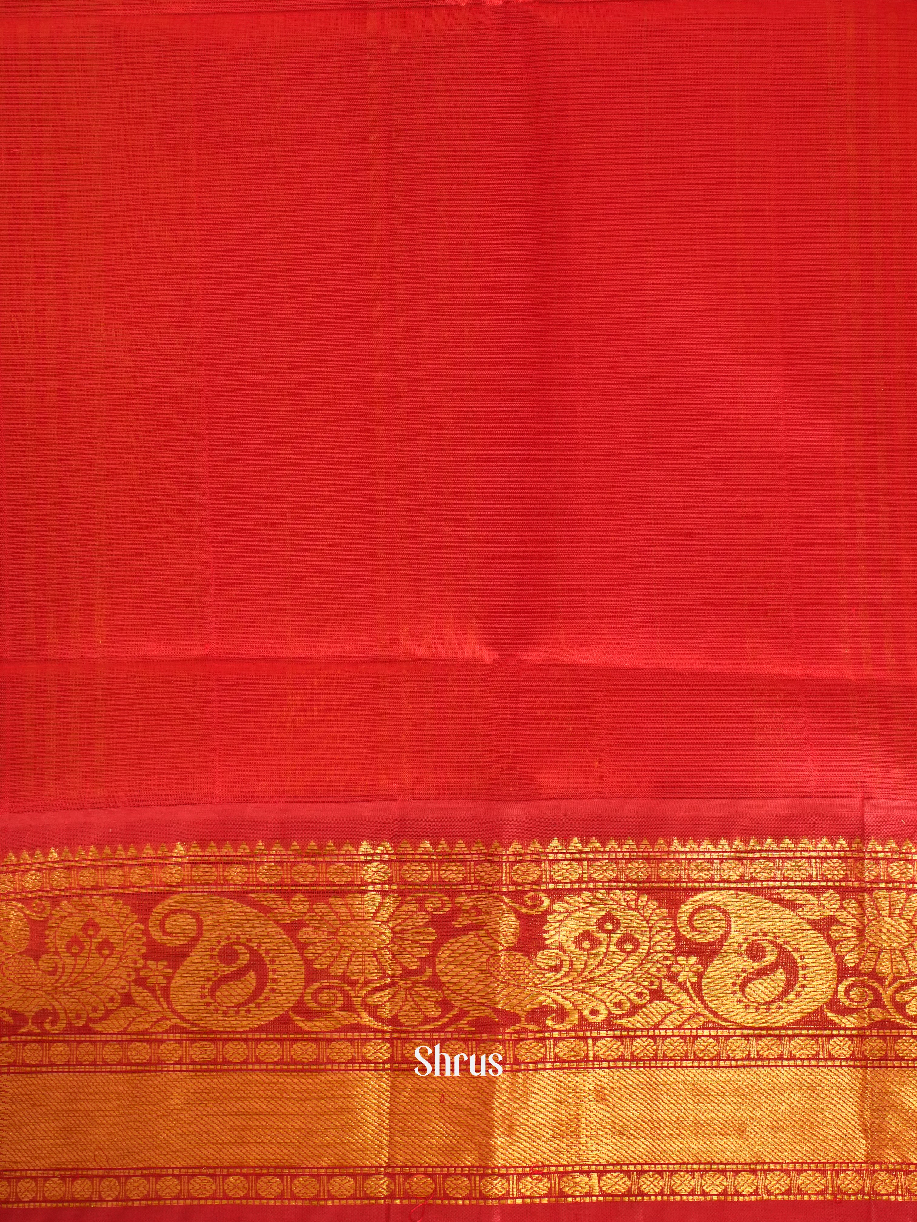 Yellow And Red-Silk Cotton Saree