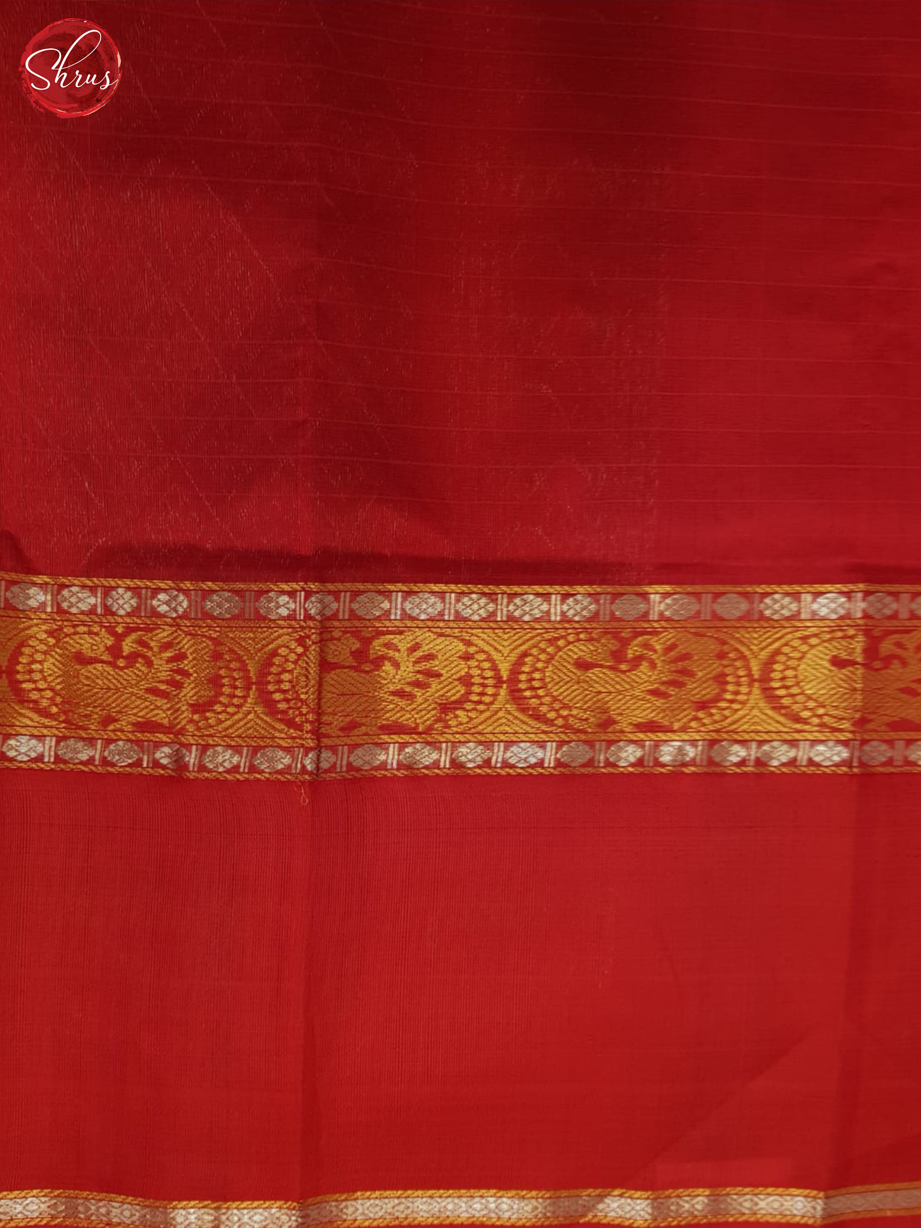 BHS24241 - Silk Cotton Saree - Shop on ShrusEternity.com