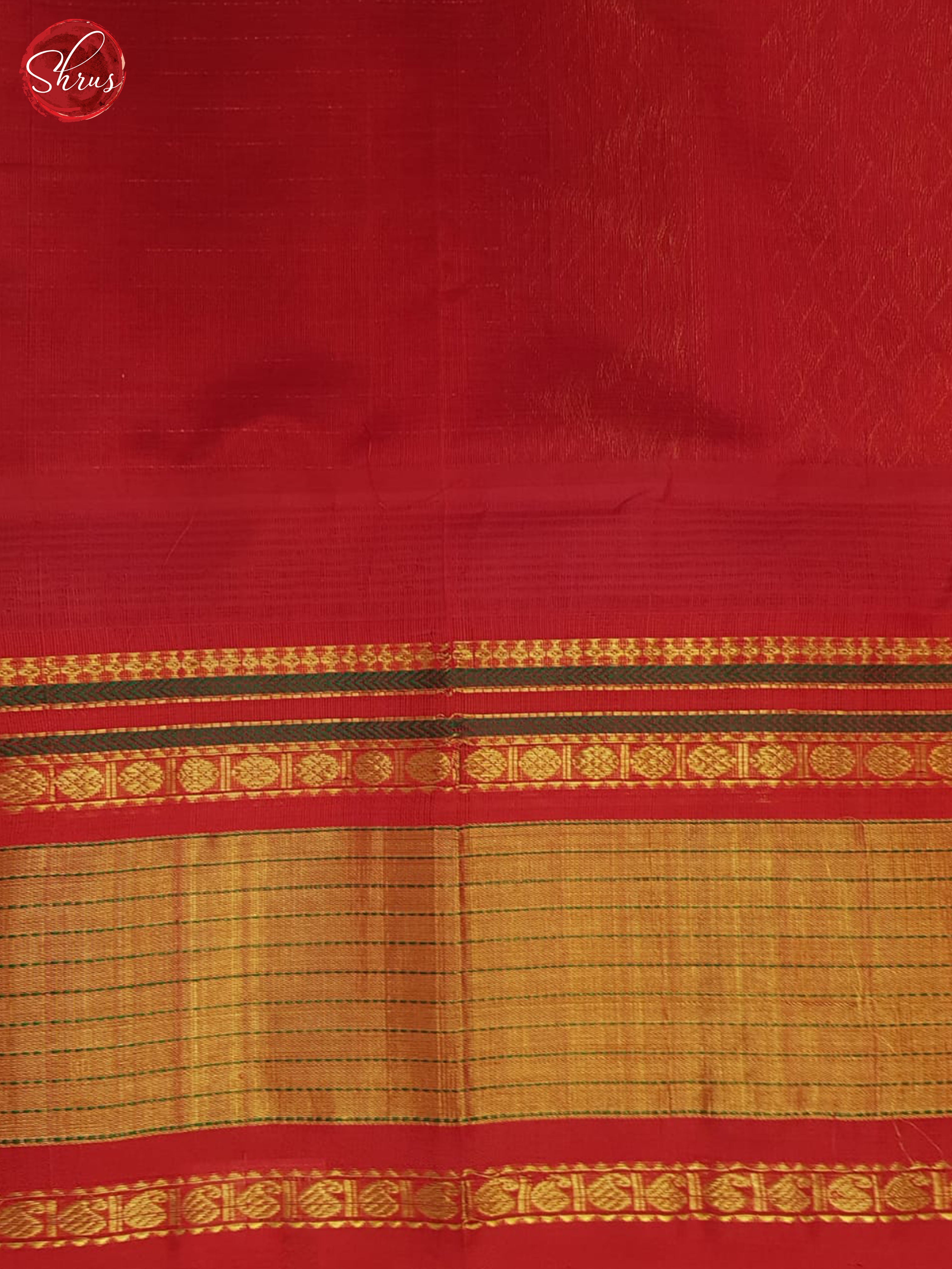 BHS24264 - Silk Cotton Saree - Shop on ShrusEternity.com