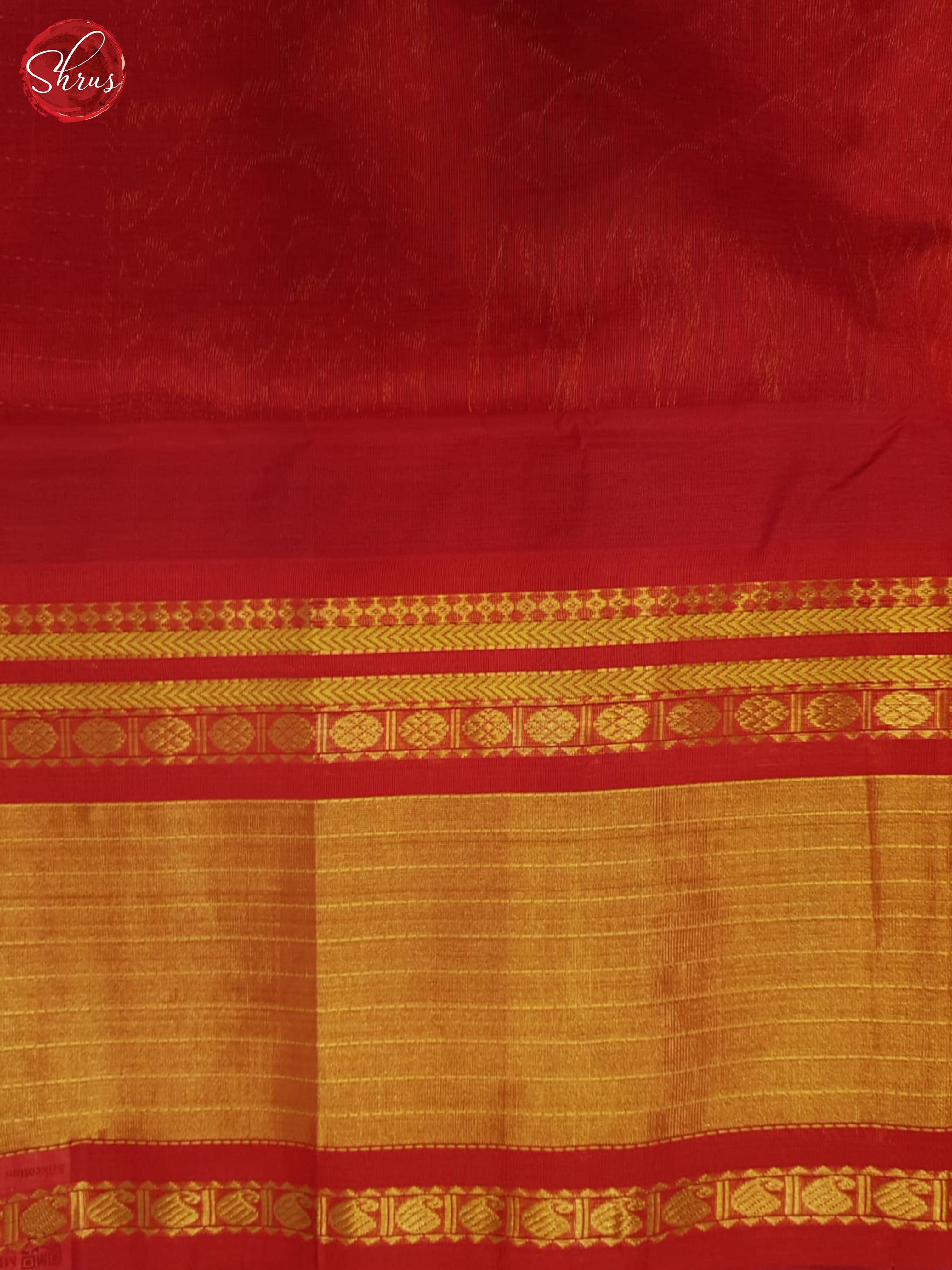 BHS24265 - Silk Cotton Saree - Shop on ShrusEternity.com