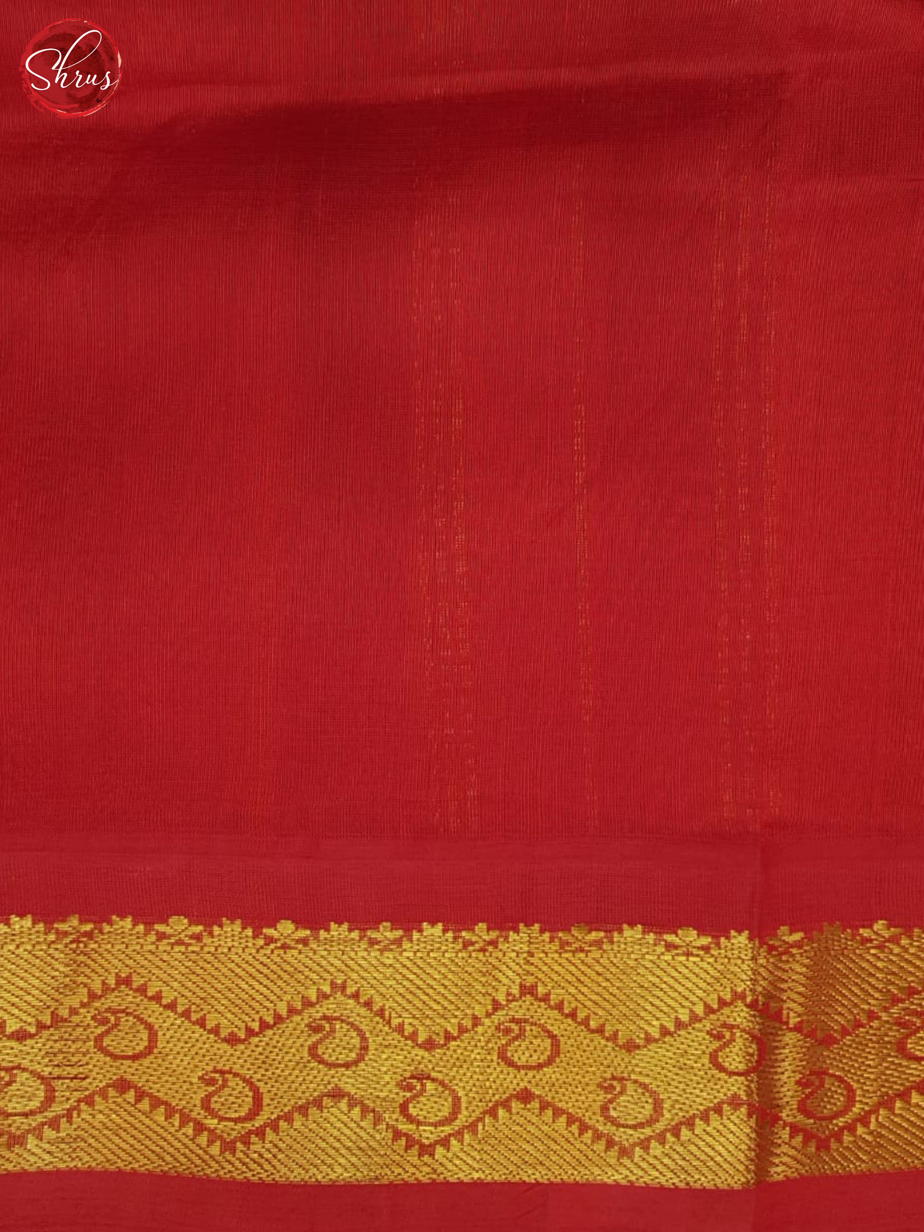 BHS25167 - Silk Cotton Saree - Shop on ShrusEternity.com