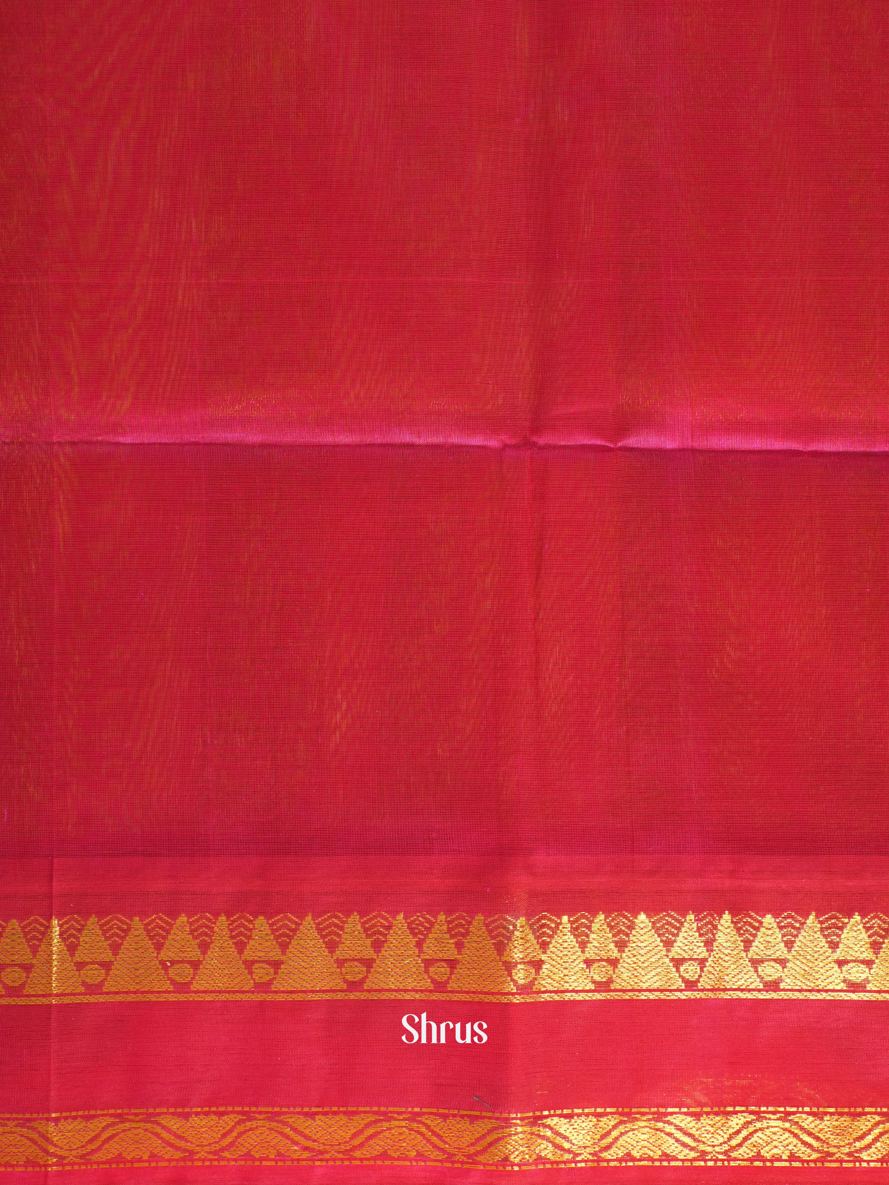 Pista Green & Pink- Silk Cotton Saree