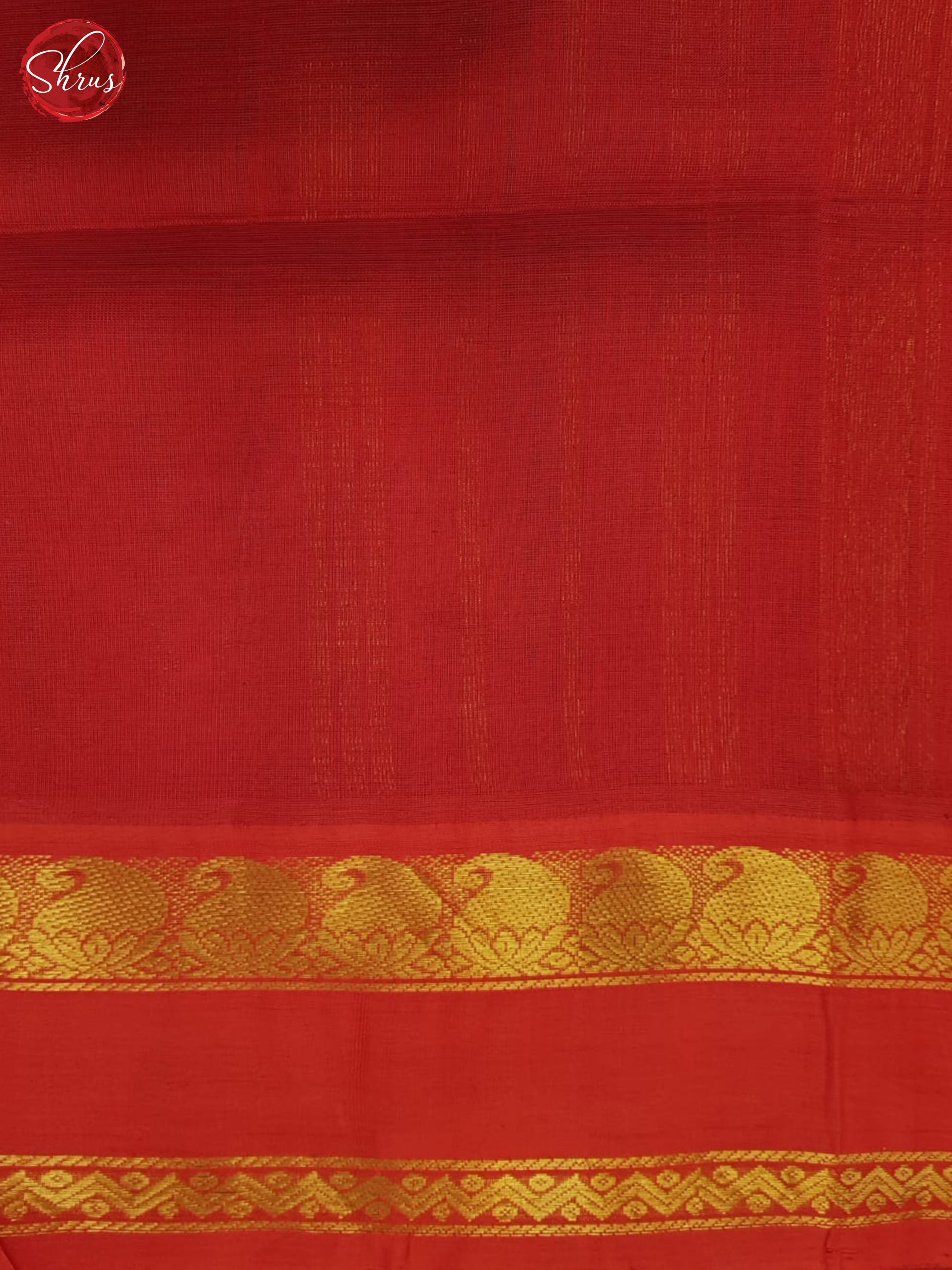 BHS25256 - Silk Cotton Saree - Shop on ShrusEternity.com