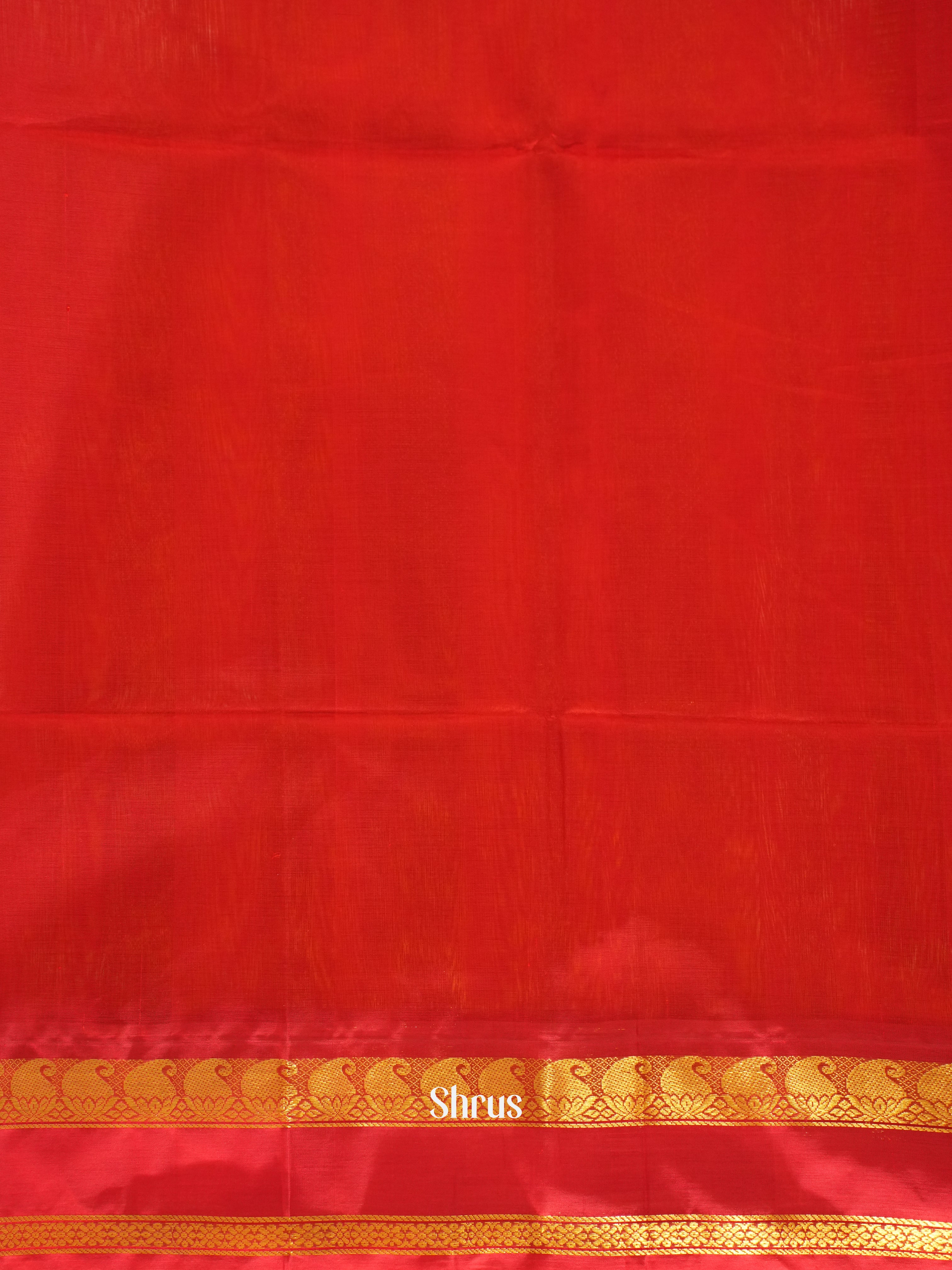 Yellow & Red - Silk Cotton Saree