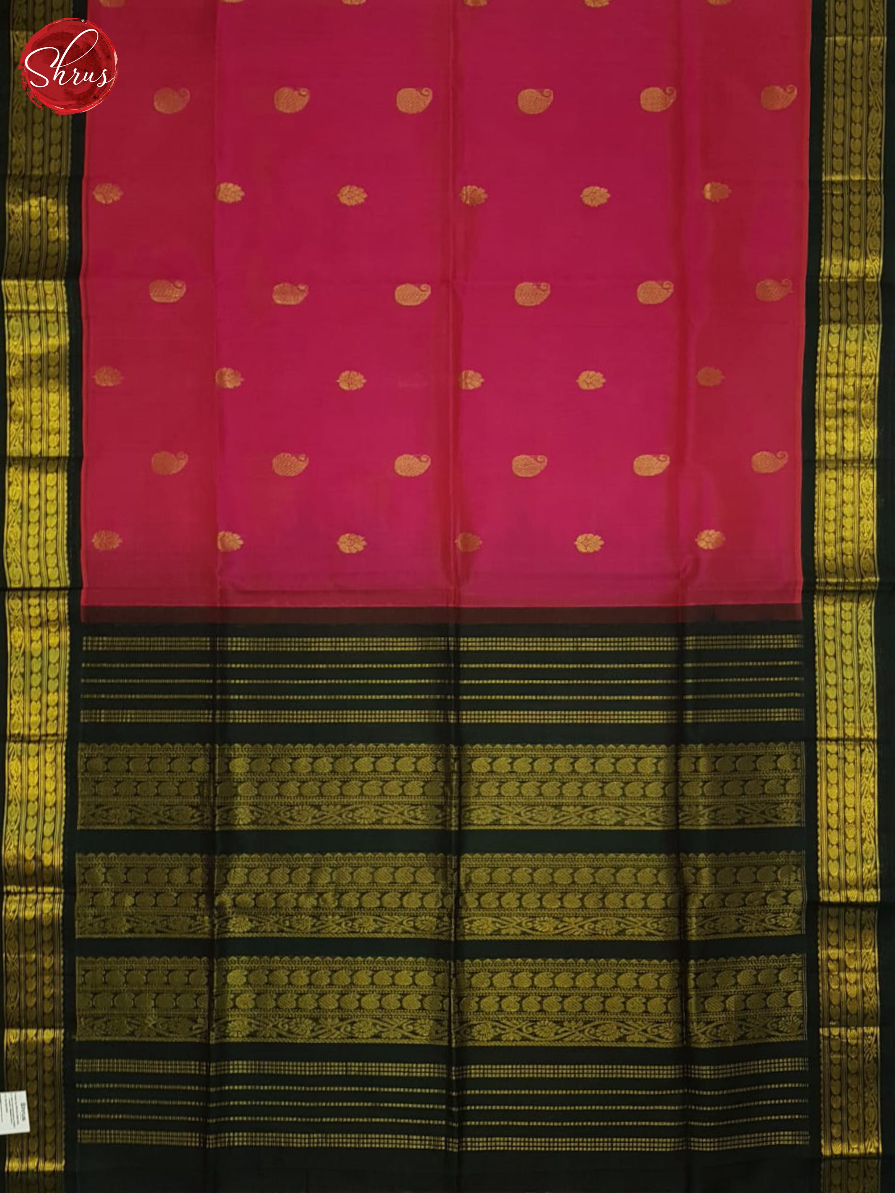 Pink & Green- Silk Cotton Saree - Shop on ShrusEternity.com