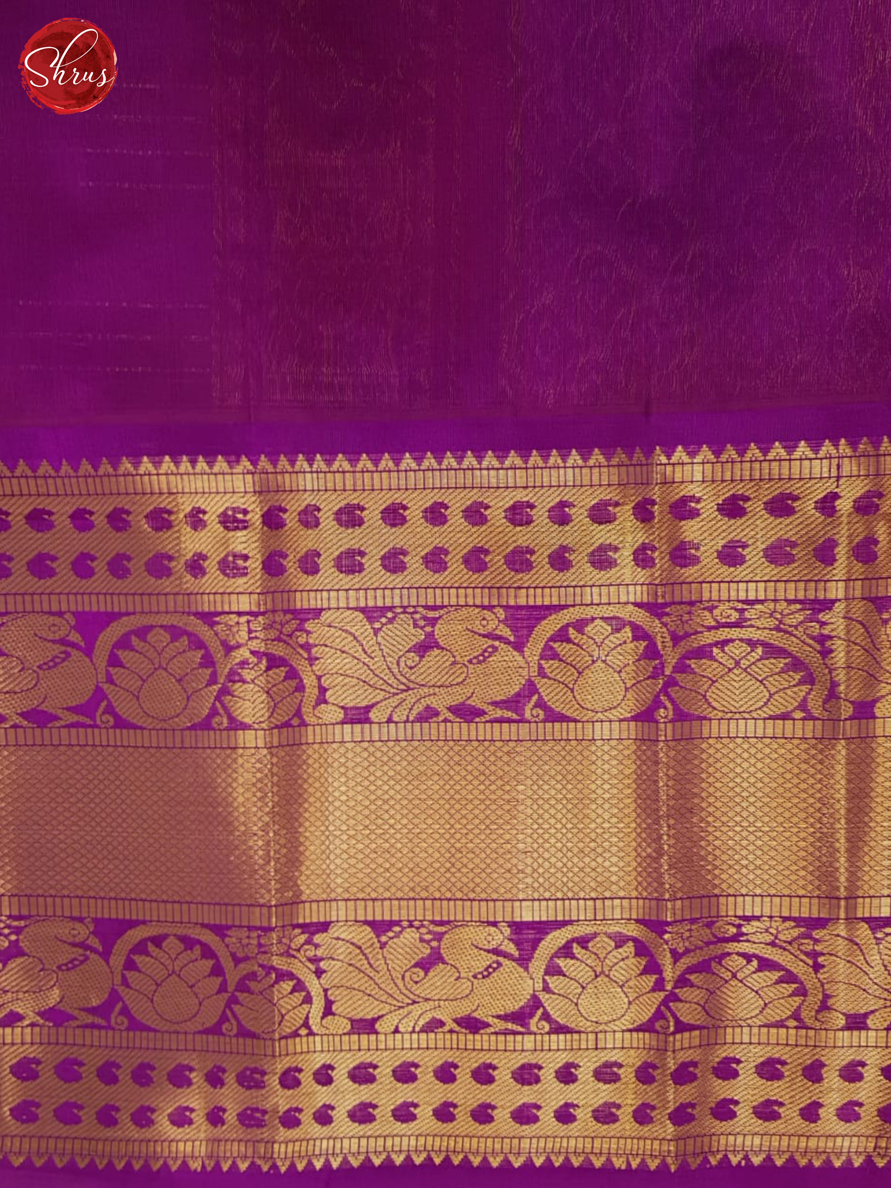 BHS26005 - Silk Cotton Saree - Shop on ShrusEternity.com