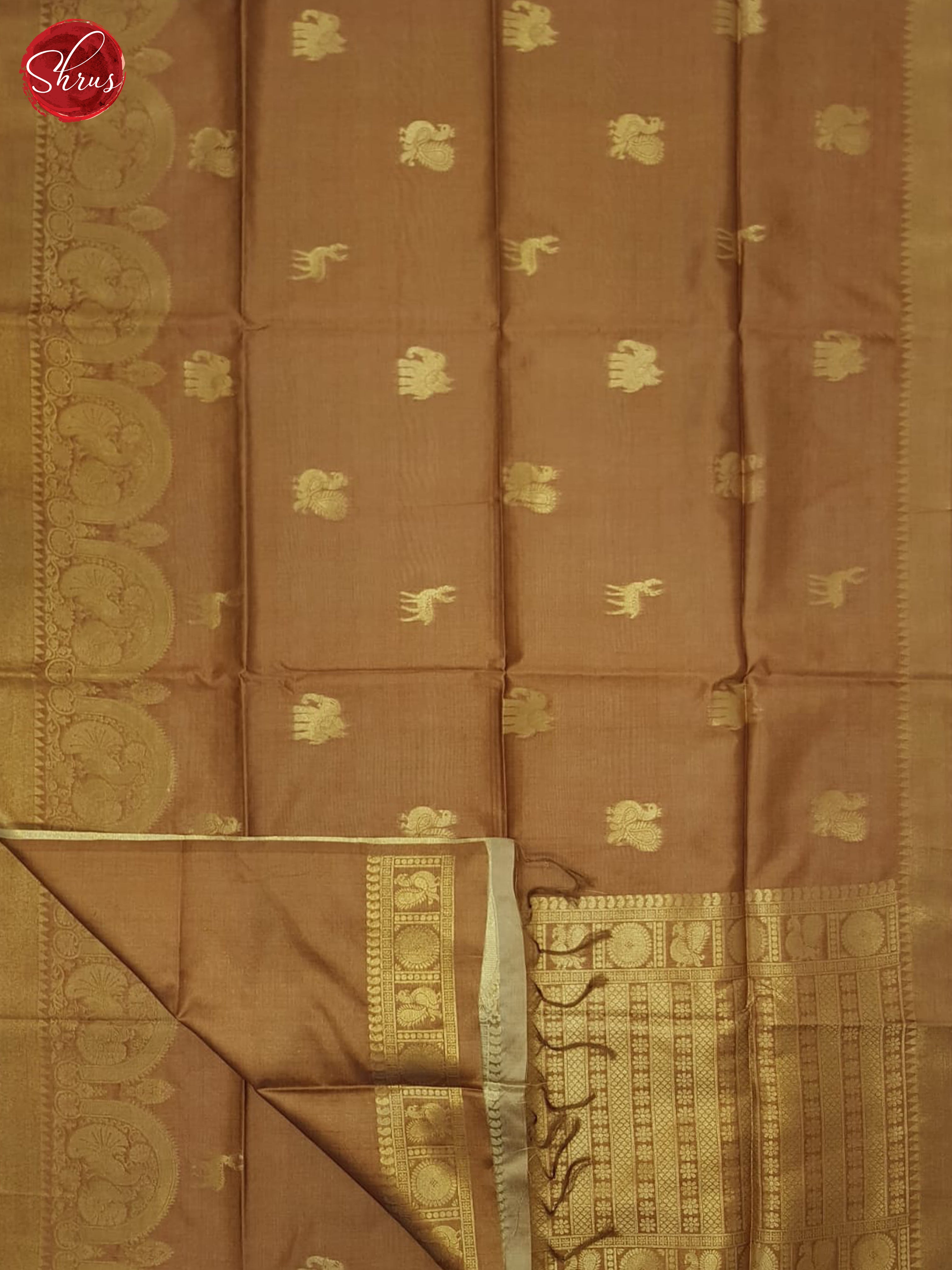 Brown(Single Tone) - Semi Silkcotton Saree - Shop on ShrusEternity.com