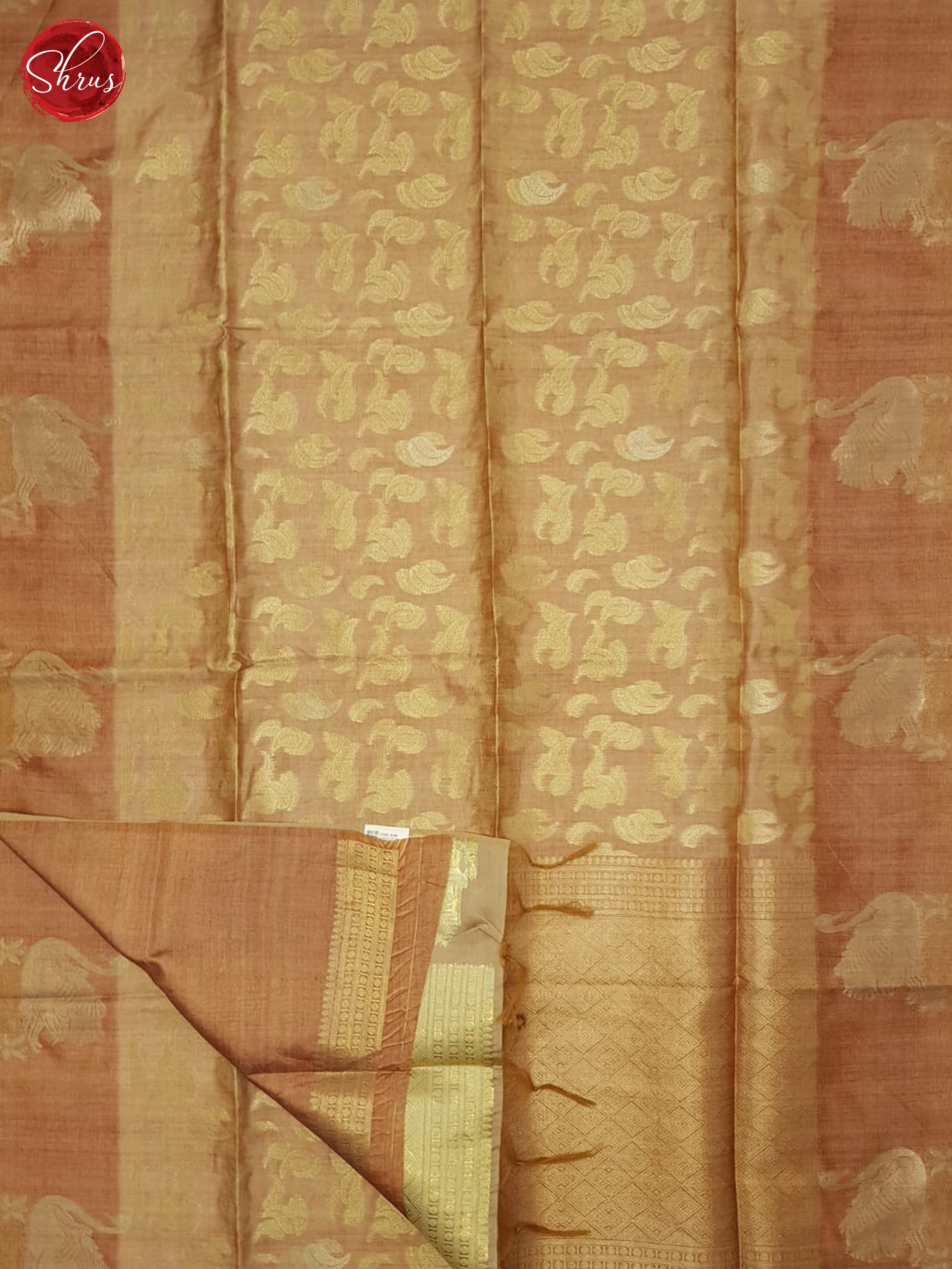 Brown(Single Tone) - Semi Silkcotton Saree - Shop on ShrusEternity.com