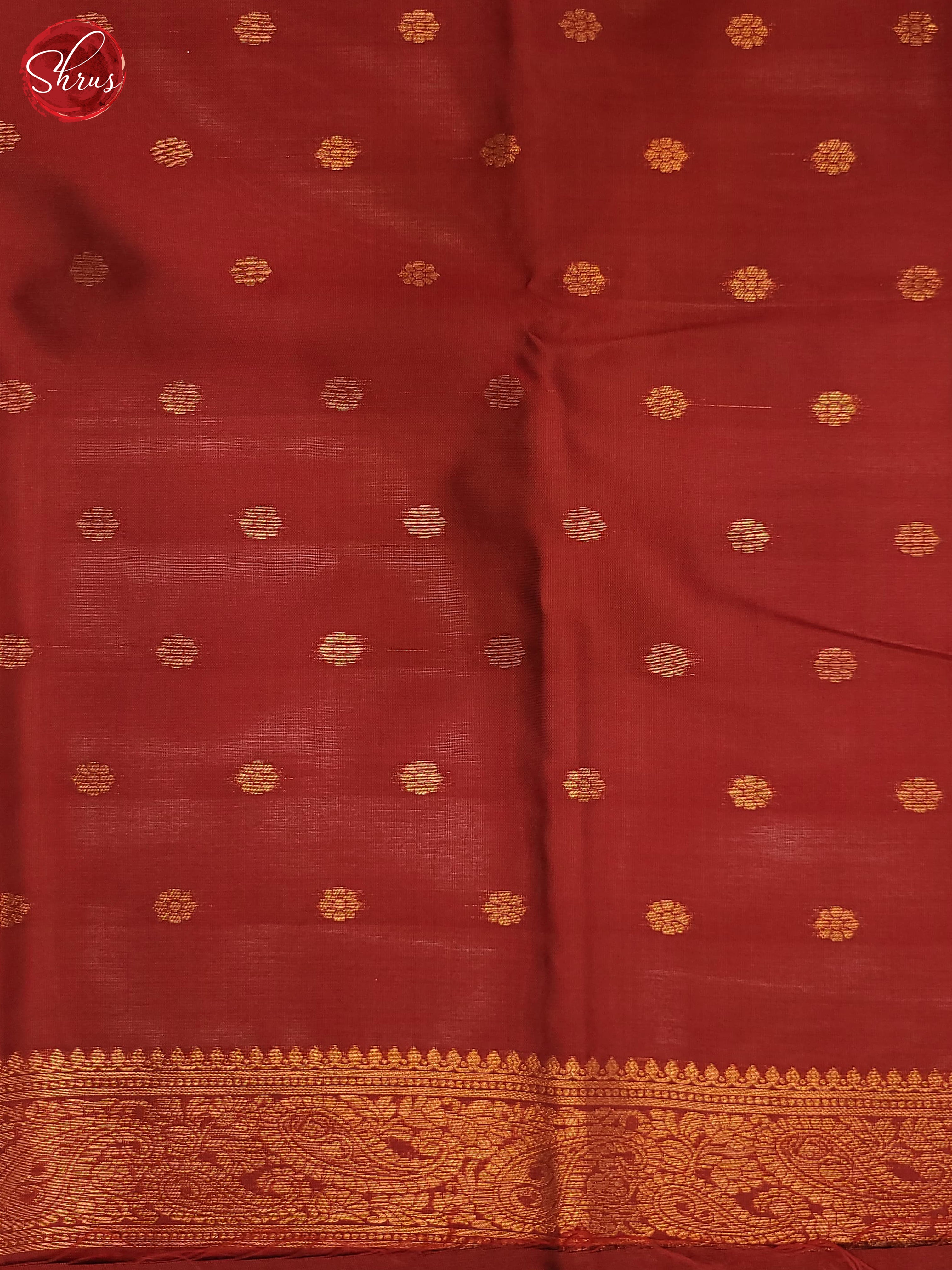 beige and maroon - Semi Soft Silk Saree - Shop on ShrusEternity.com