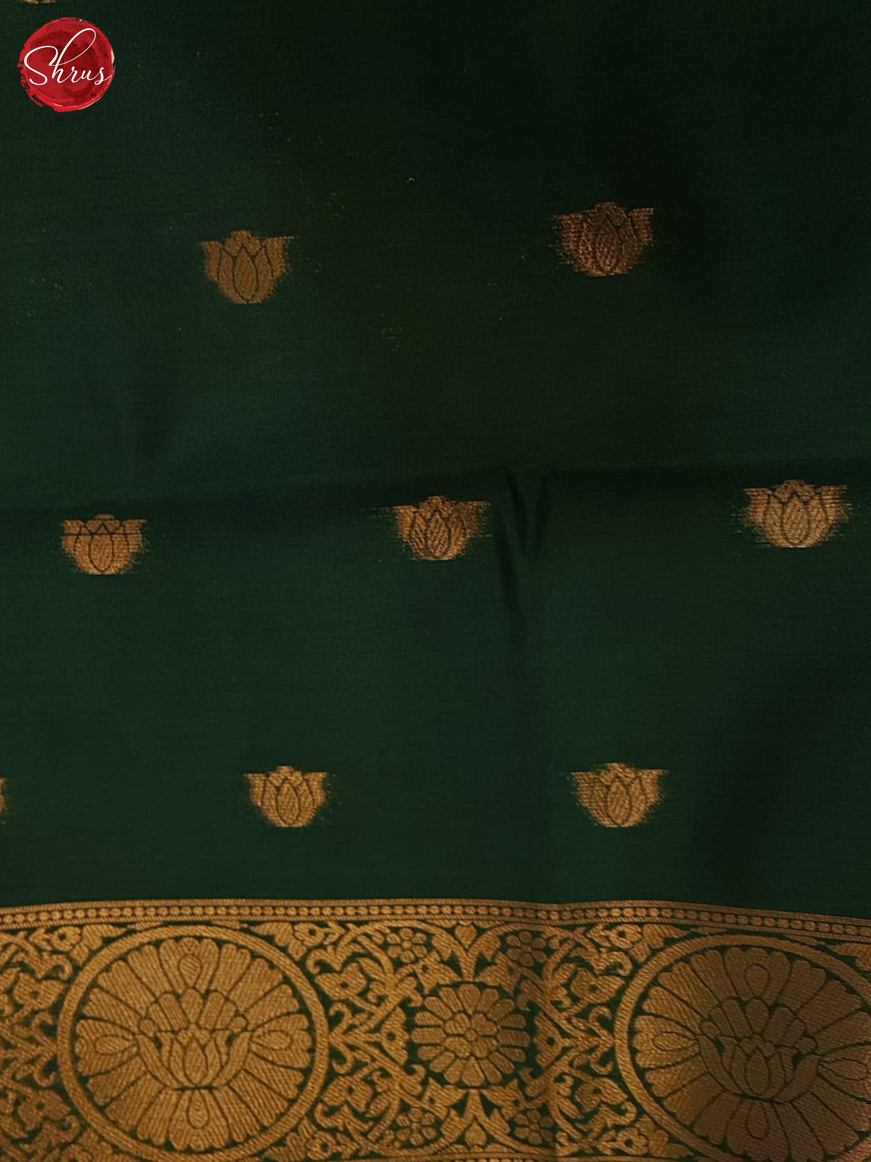 BJS13445 - Semi Softsilk Saree - Shop on ShrusEternity.com