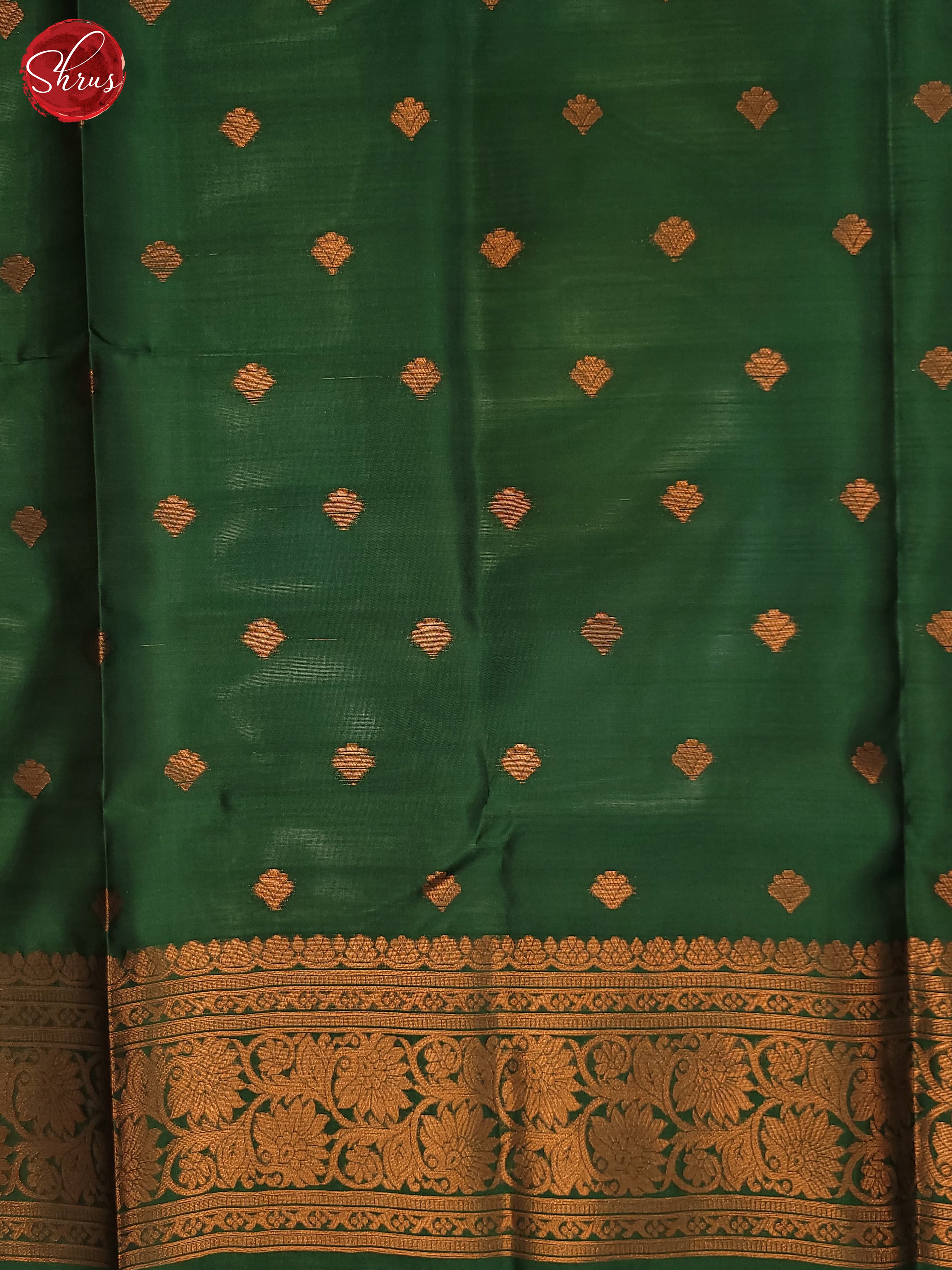 Dusty blue and Green - Semi Soft Silk Saree - Shop on ShrusEternity.com