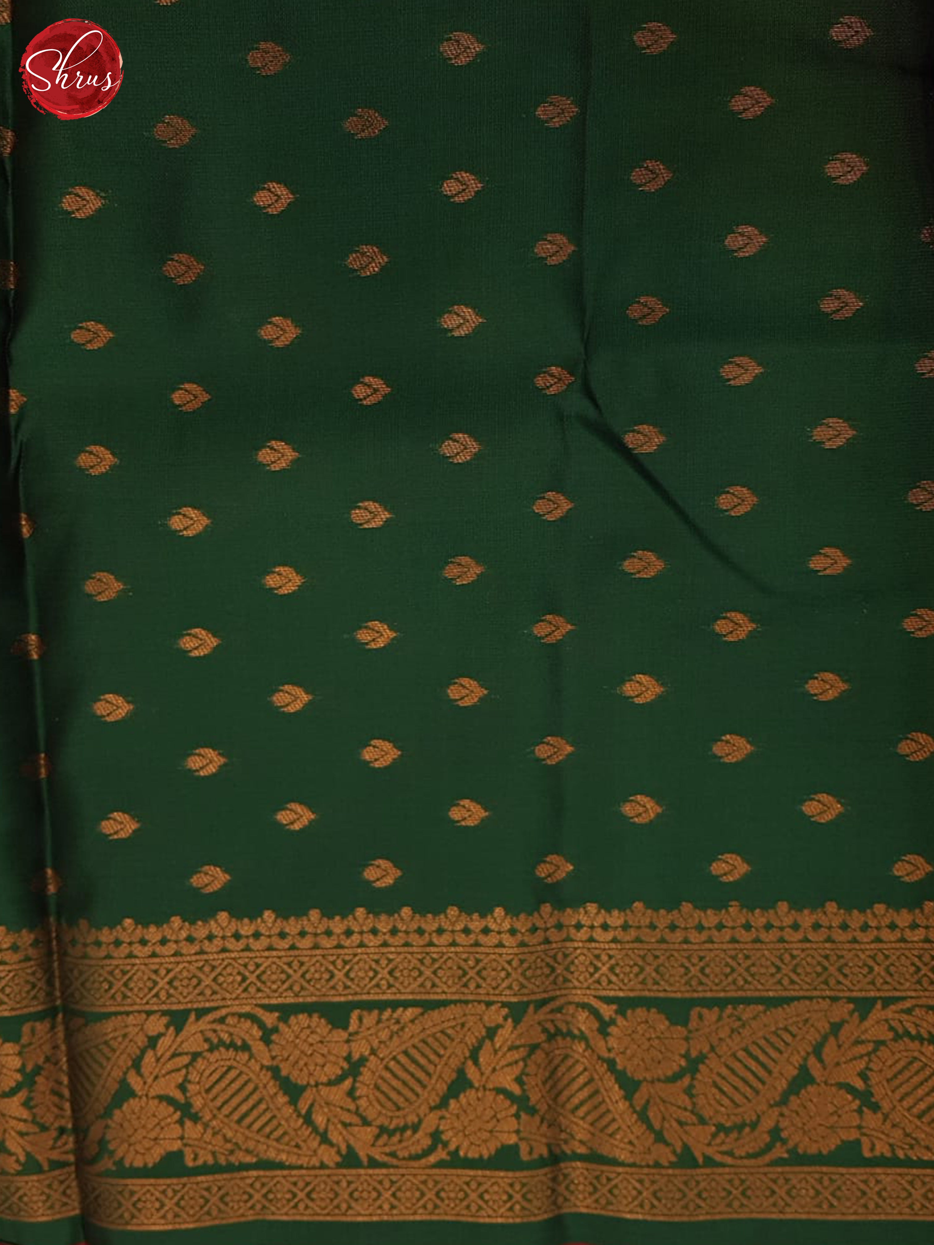 Pista Green  & Green - Semi Soft Silk Saree - Shop on ShrusEternity.com