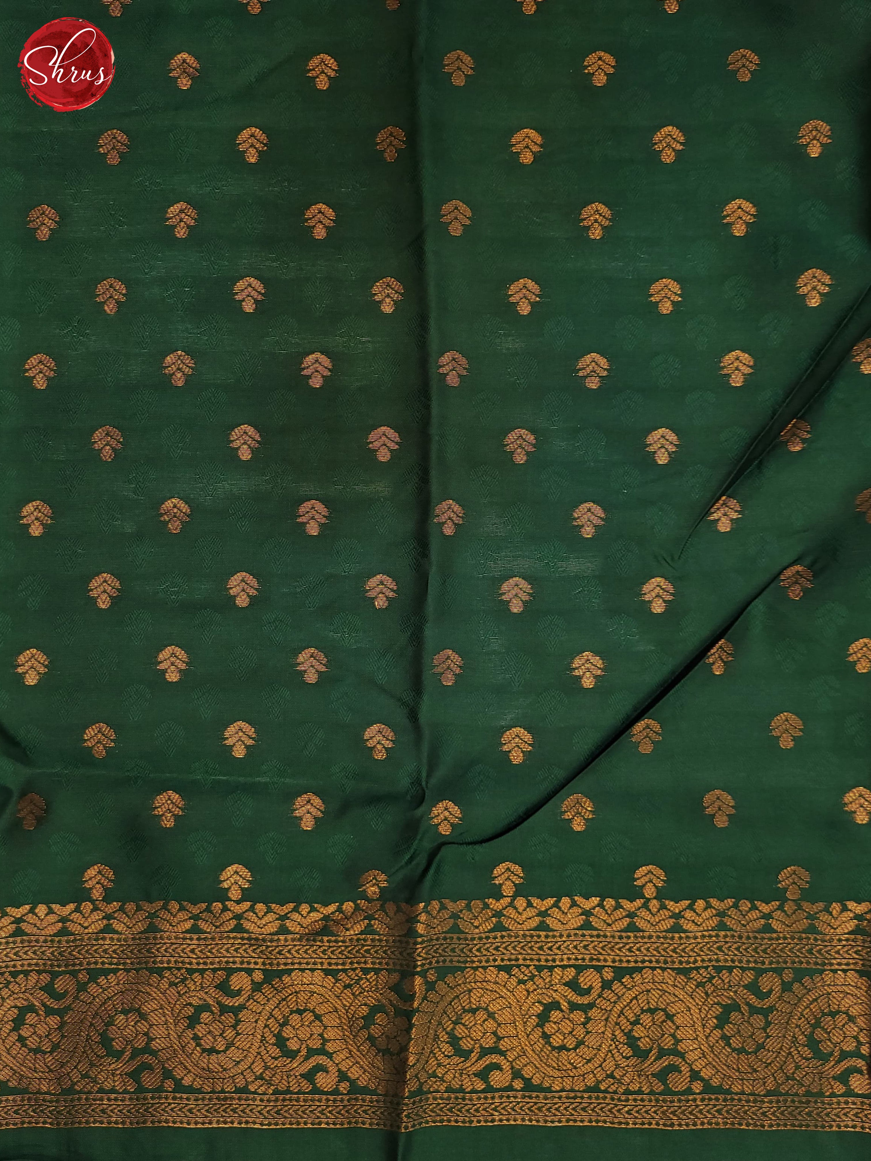 Pastel Green & Green - Semi Soft Silk Saree - Shop on ShrusEternity.com