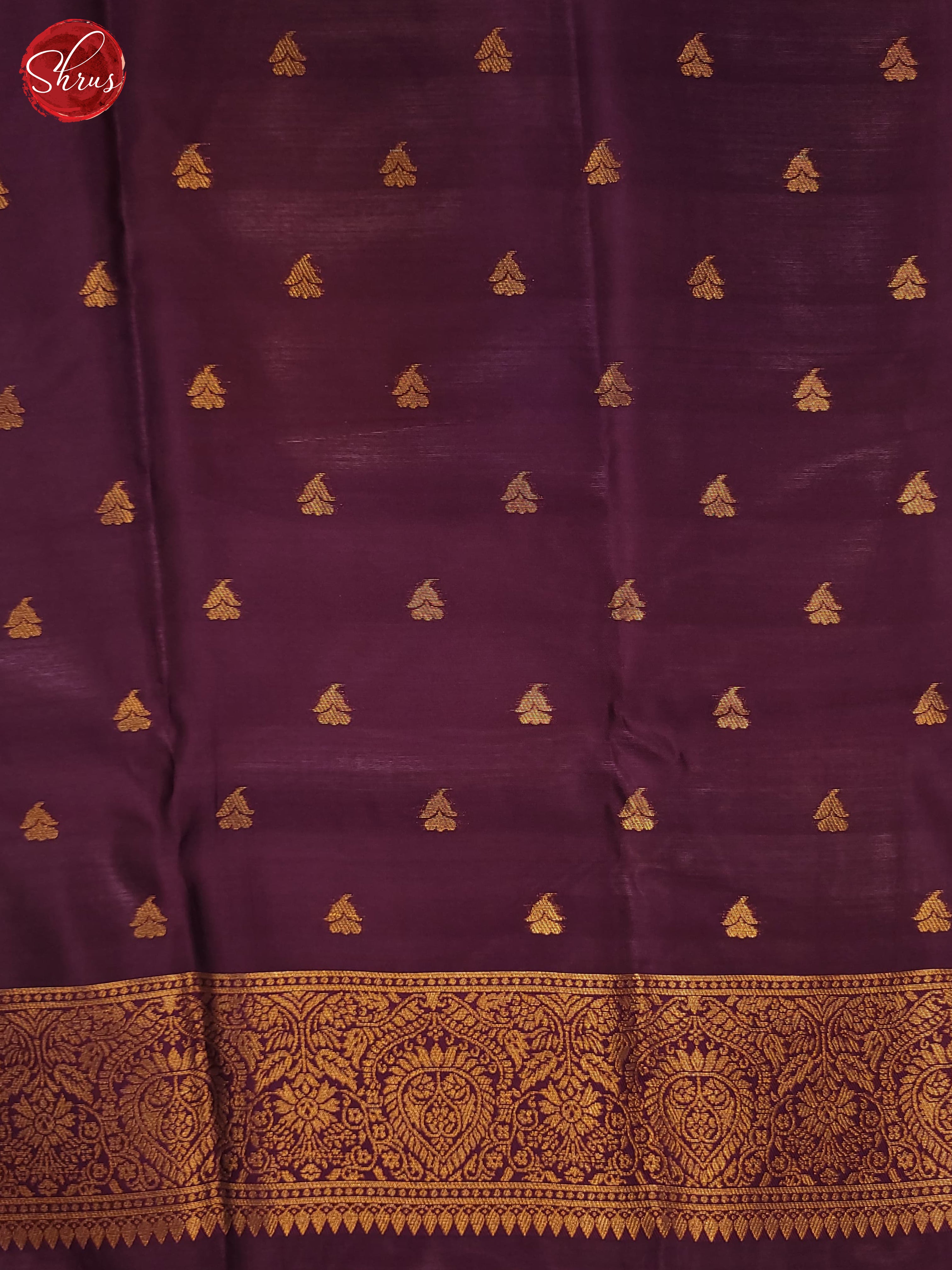 BJS18361 - Semi Softsilk Saree - Shop on ShrusEternity.com