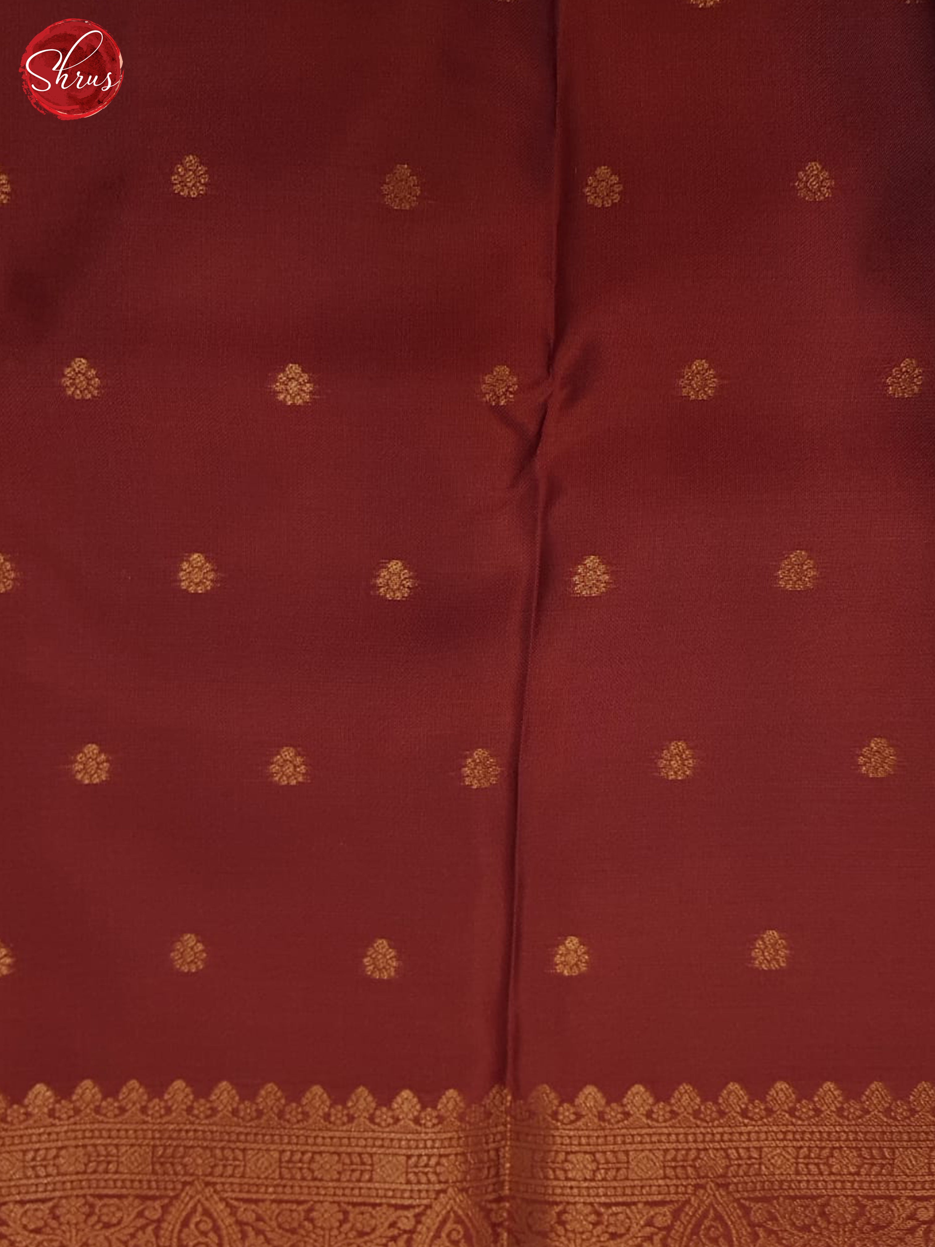 light Brown & Brown(SIngle Tone) - Semi Soft silk Saree - Shop on ShrusEternity.com