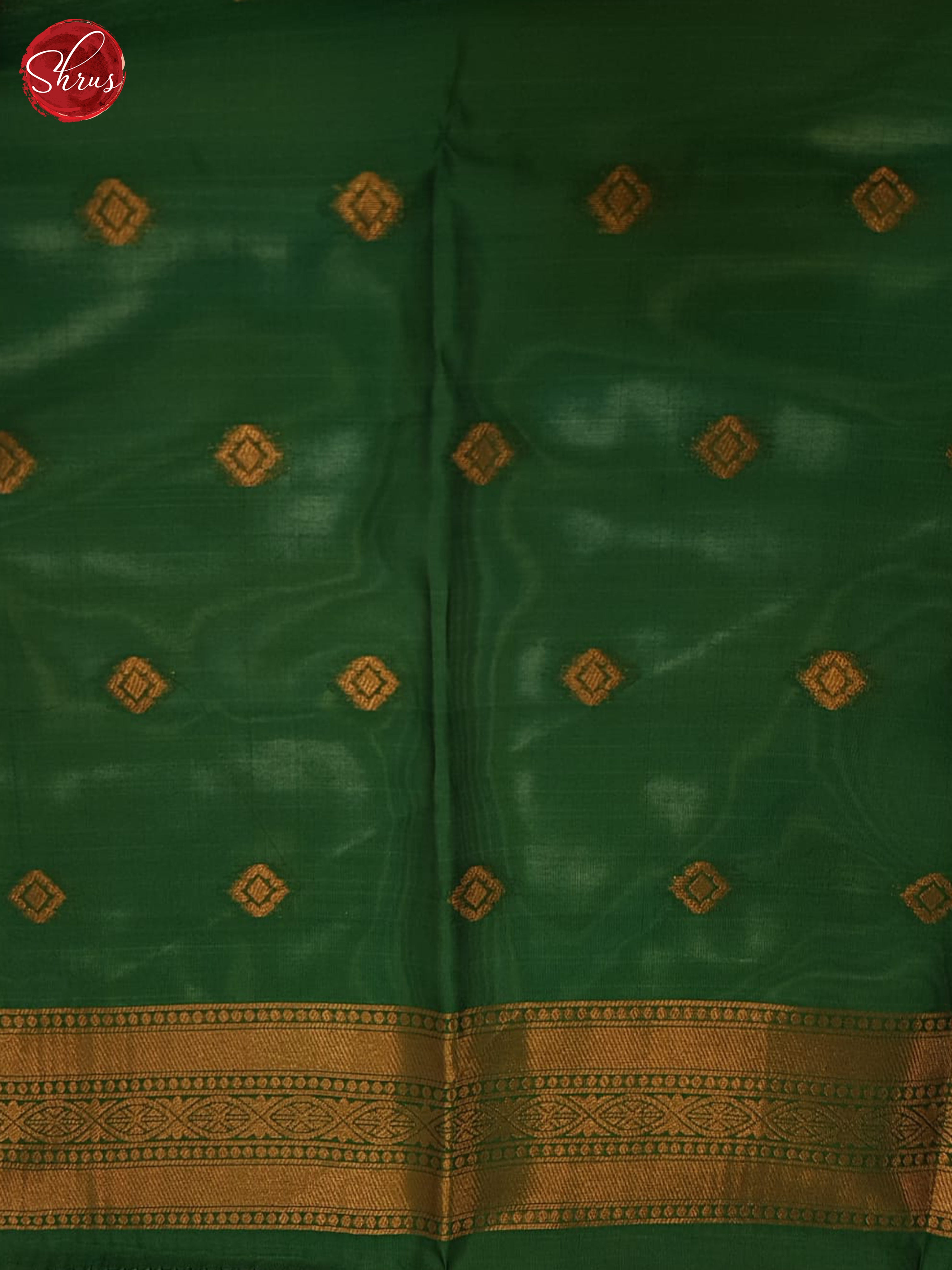 aqua green and green - Semi Soft Silk Saree - Shop on ShrusEternity.com