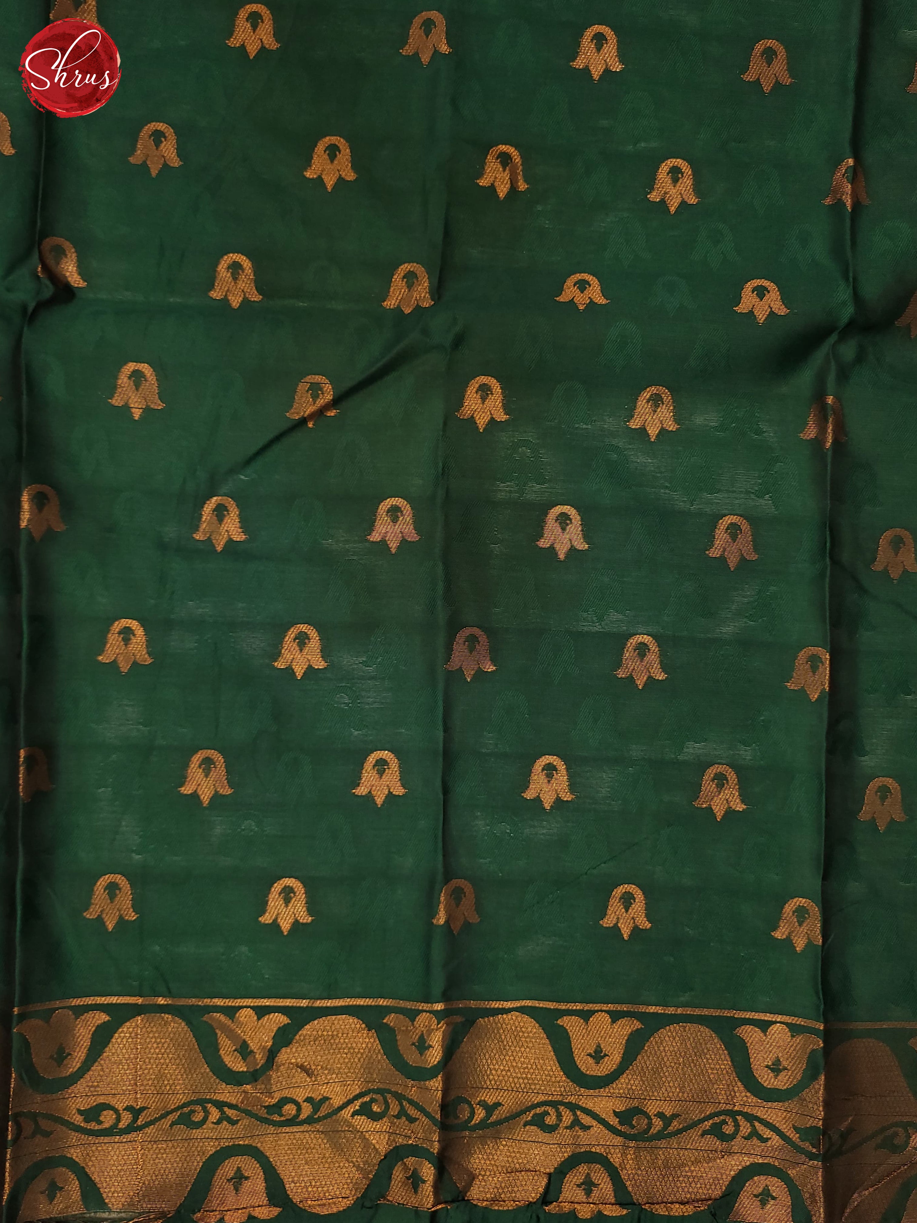 Mustard & Green - Semi Soft Silk Saree - Shop on ShrusEternity.com