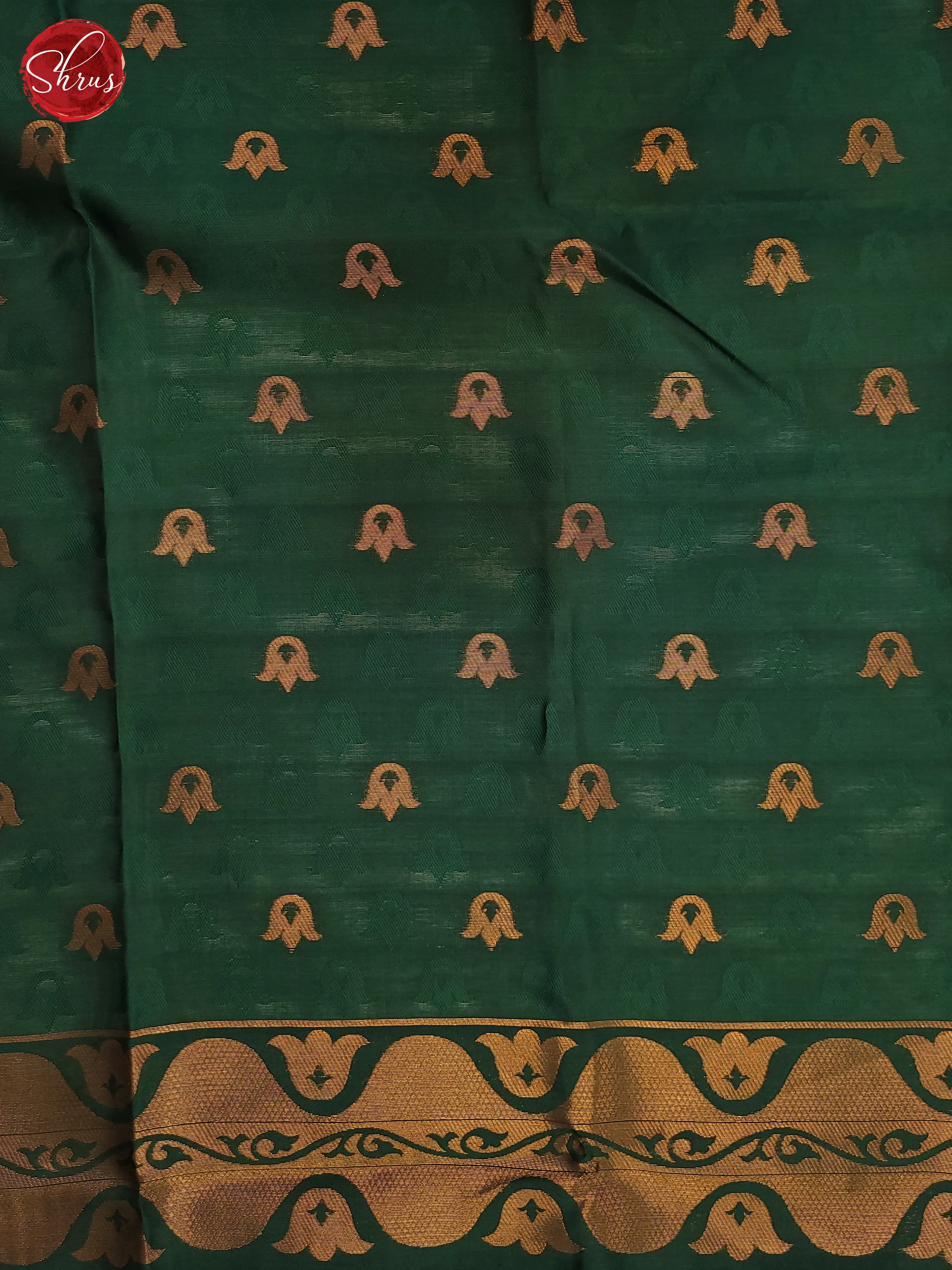 Wine & Green - Semi Soft Silk Saree - Shop on ShrusEternity.com