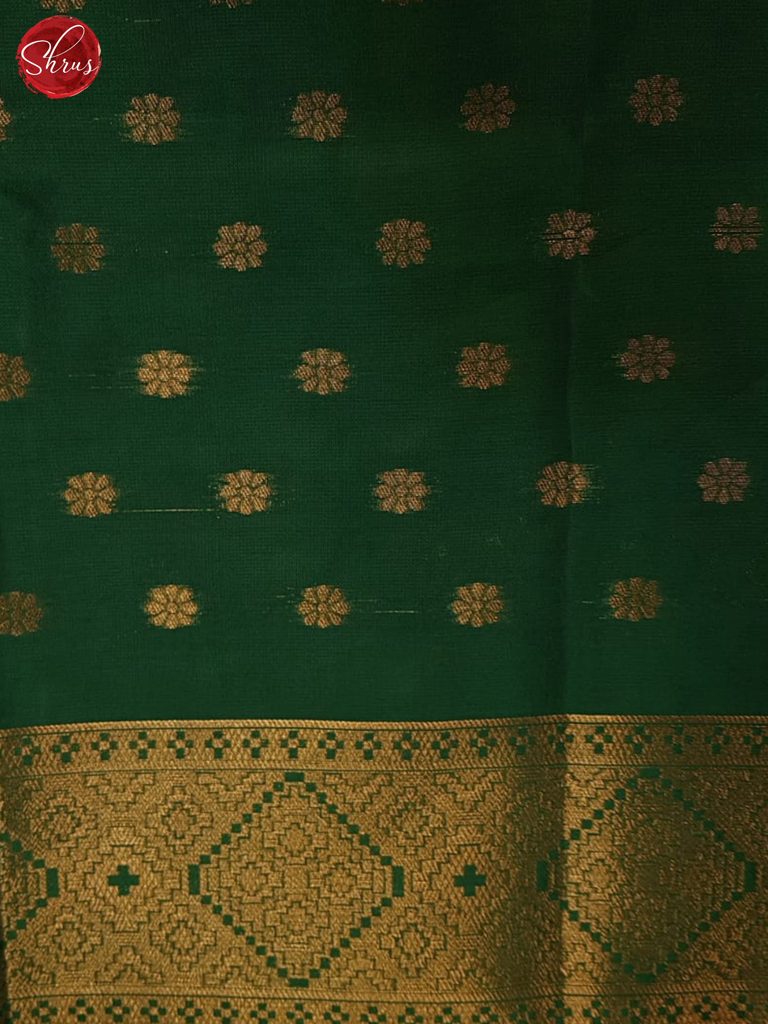 Pastel Green & Green- Semi Softsilk Saree - Shop on ShrusEternity.com