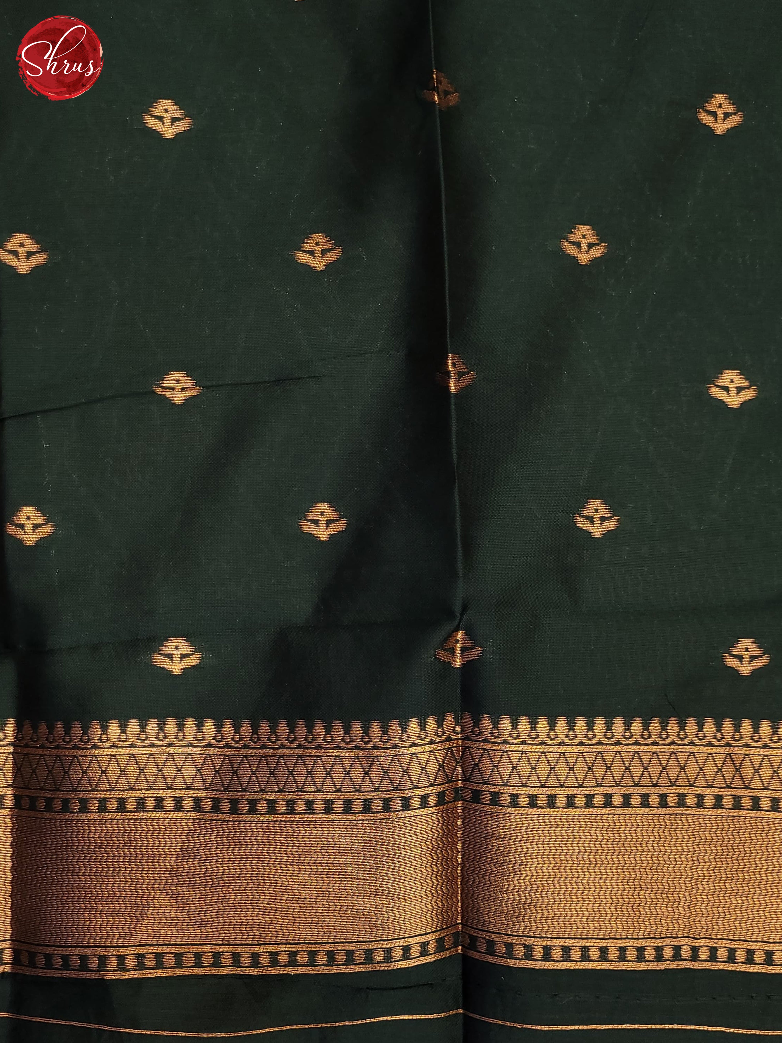 Wine & Green - Semi Soft Silk Saree - Shop on ShrusEternity.com