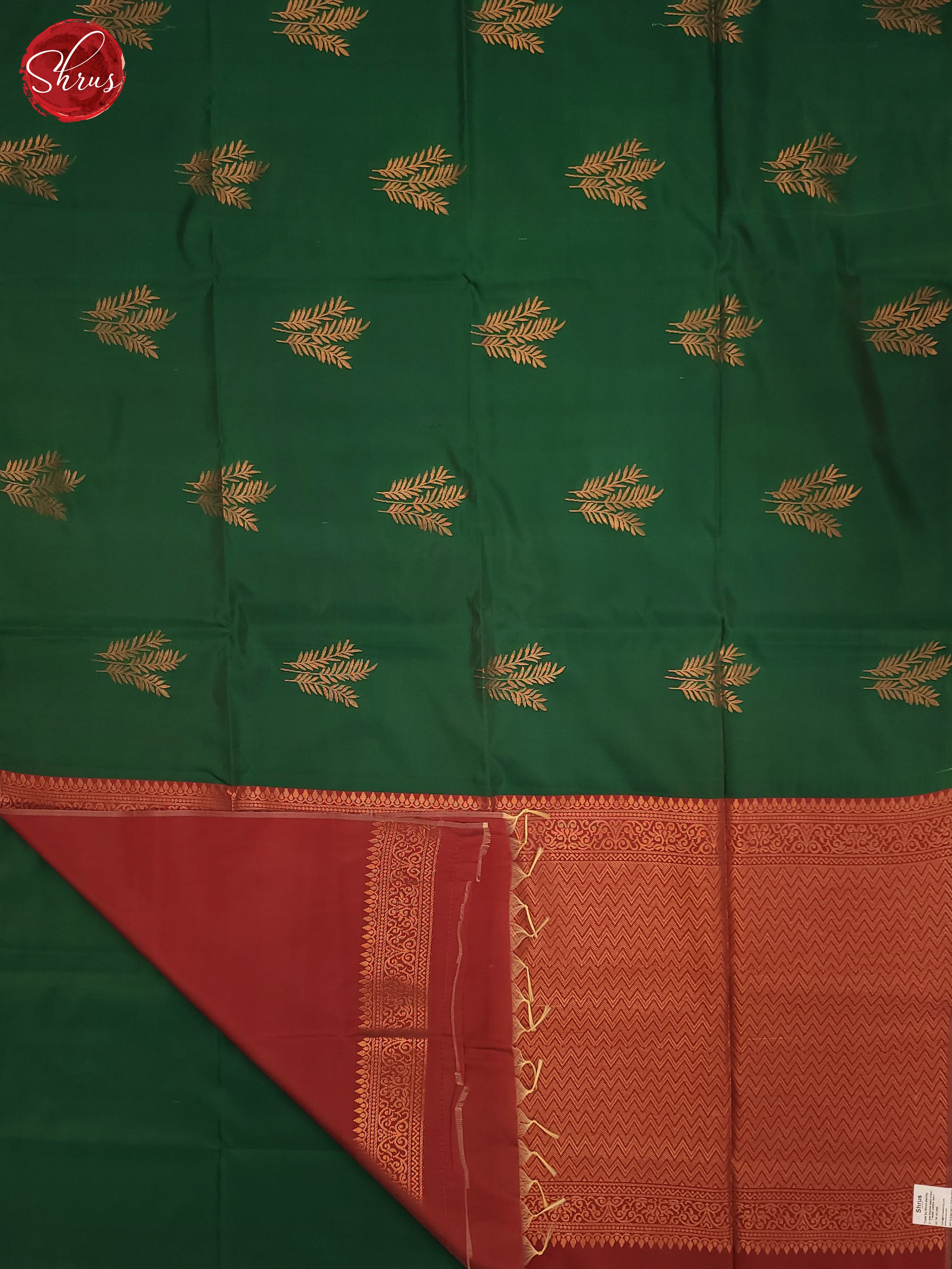 Green & Pink- Semi Softsilk Saree - Shop on ShrusEternity.com