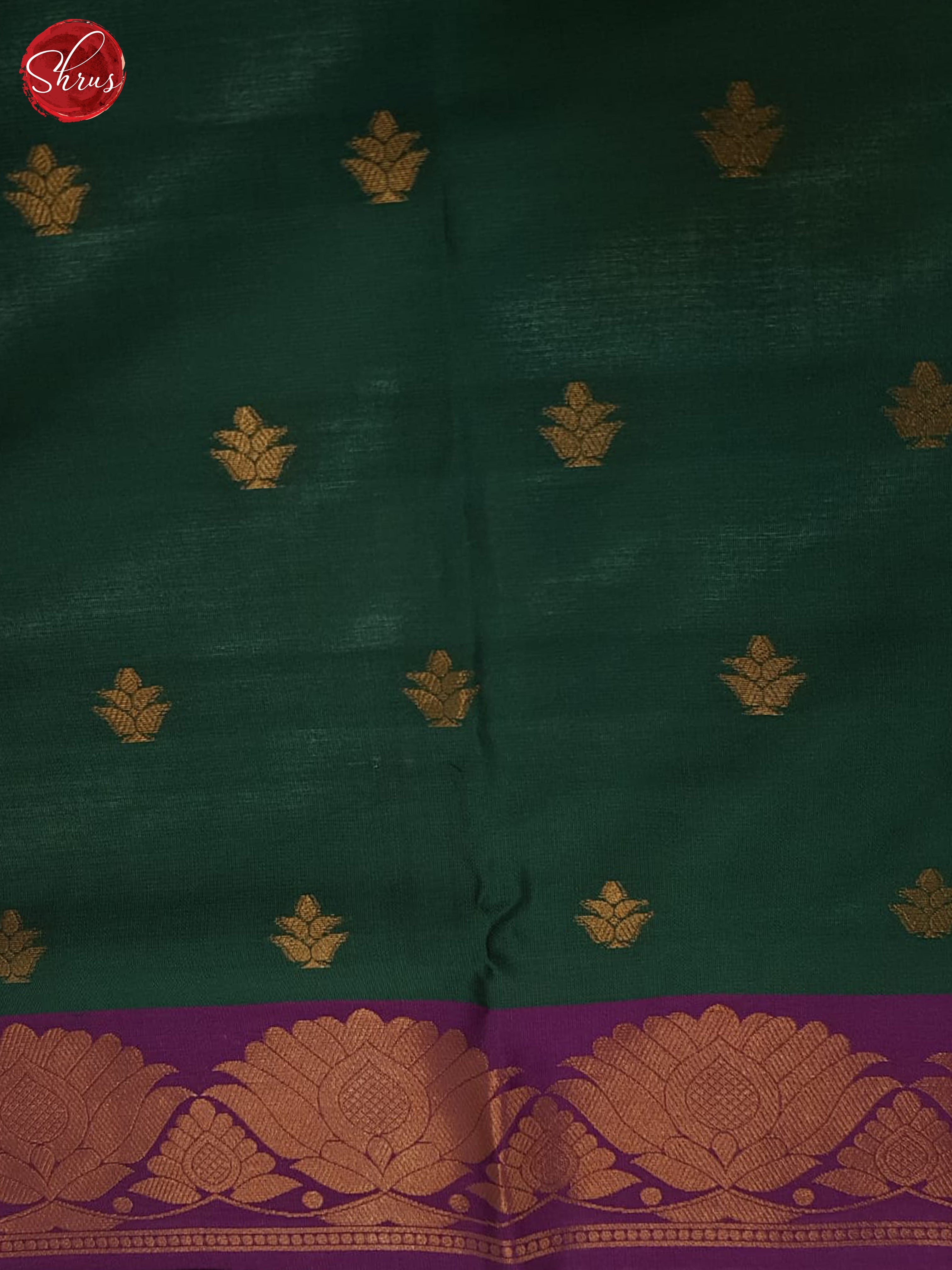 Purple And Green- Semi Soft Silk Saree - Shop on ShrusEternity.com