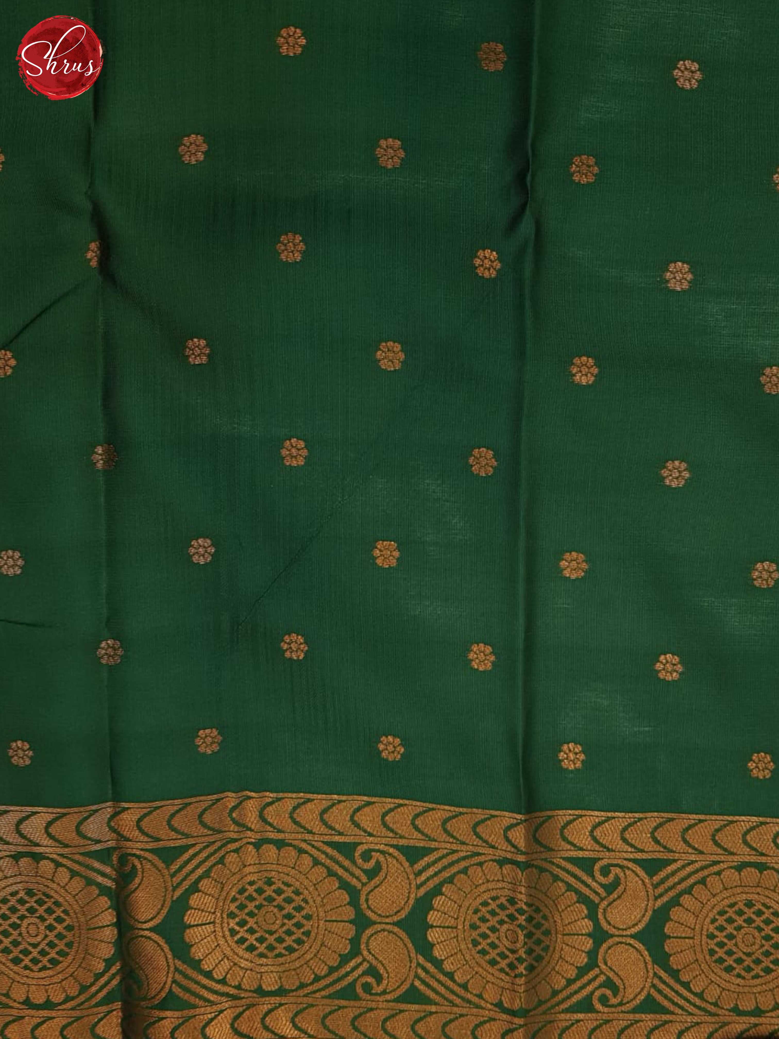 Greenish Grey And Green- Semi soft silk saree - Shop on ShrusEternity.com