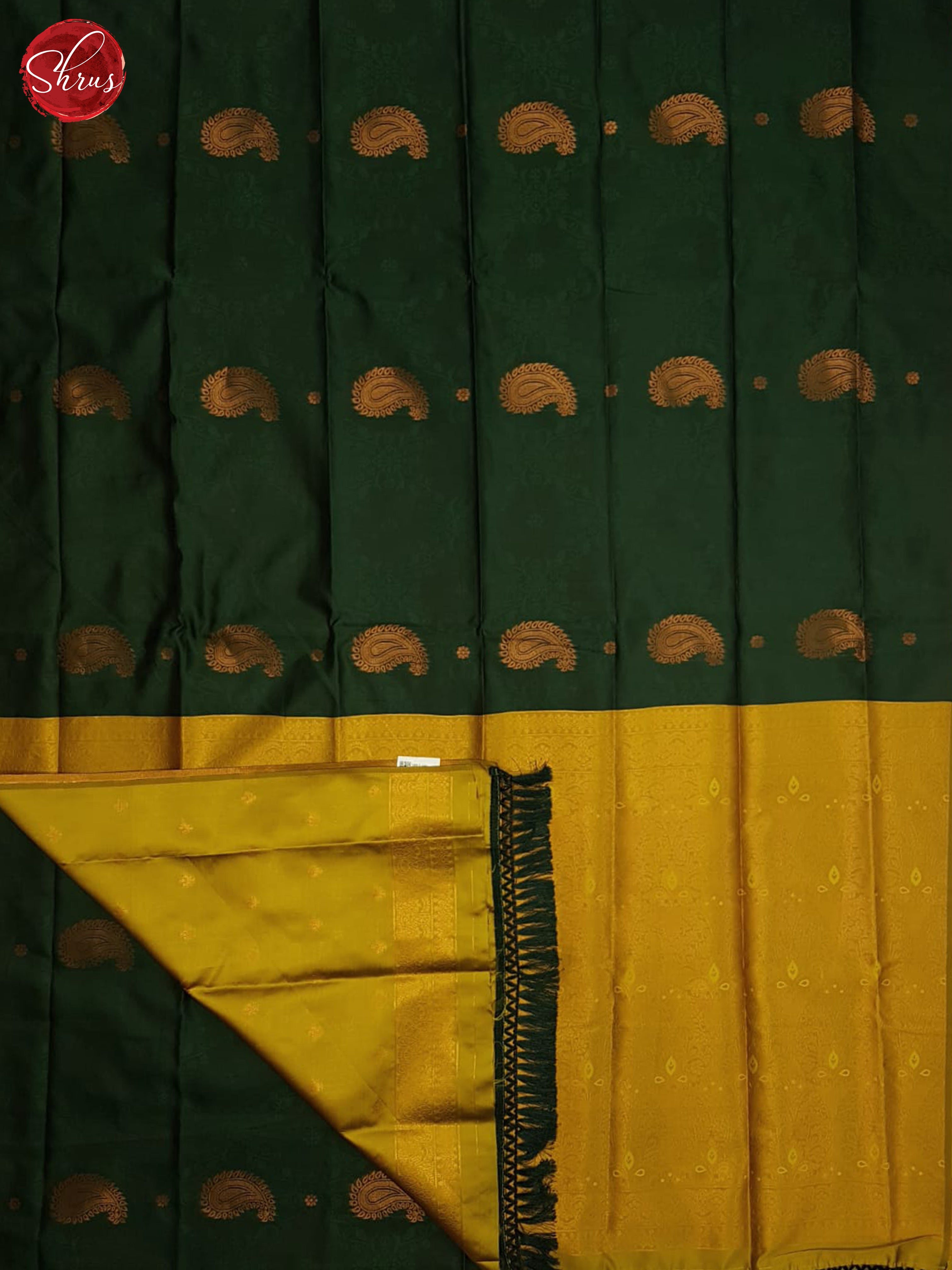 Green And Mustard-Semi soft silk Saree - Shop on ShrusEternity.com