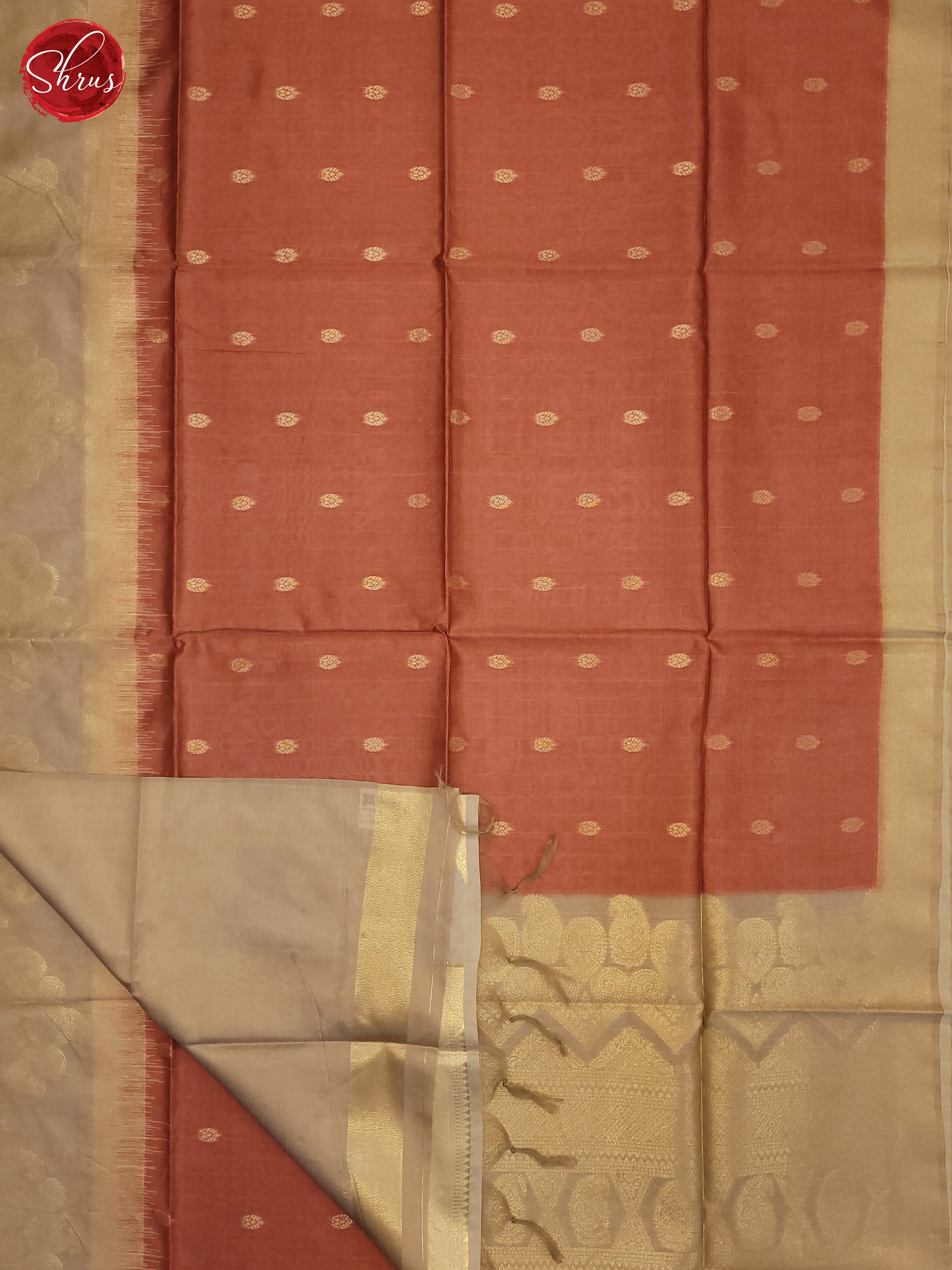 Brick Orange & Beige - Semi Tussar Saree - Shop on ShrusEternity.com