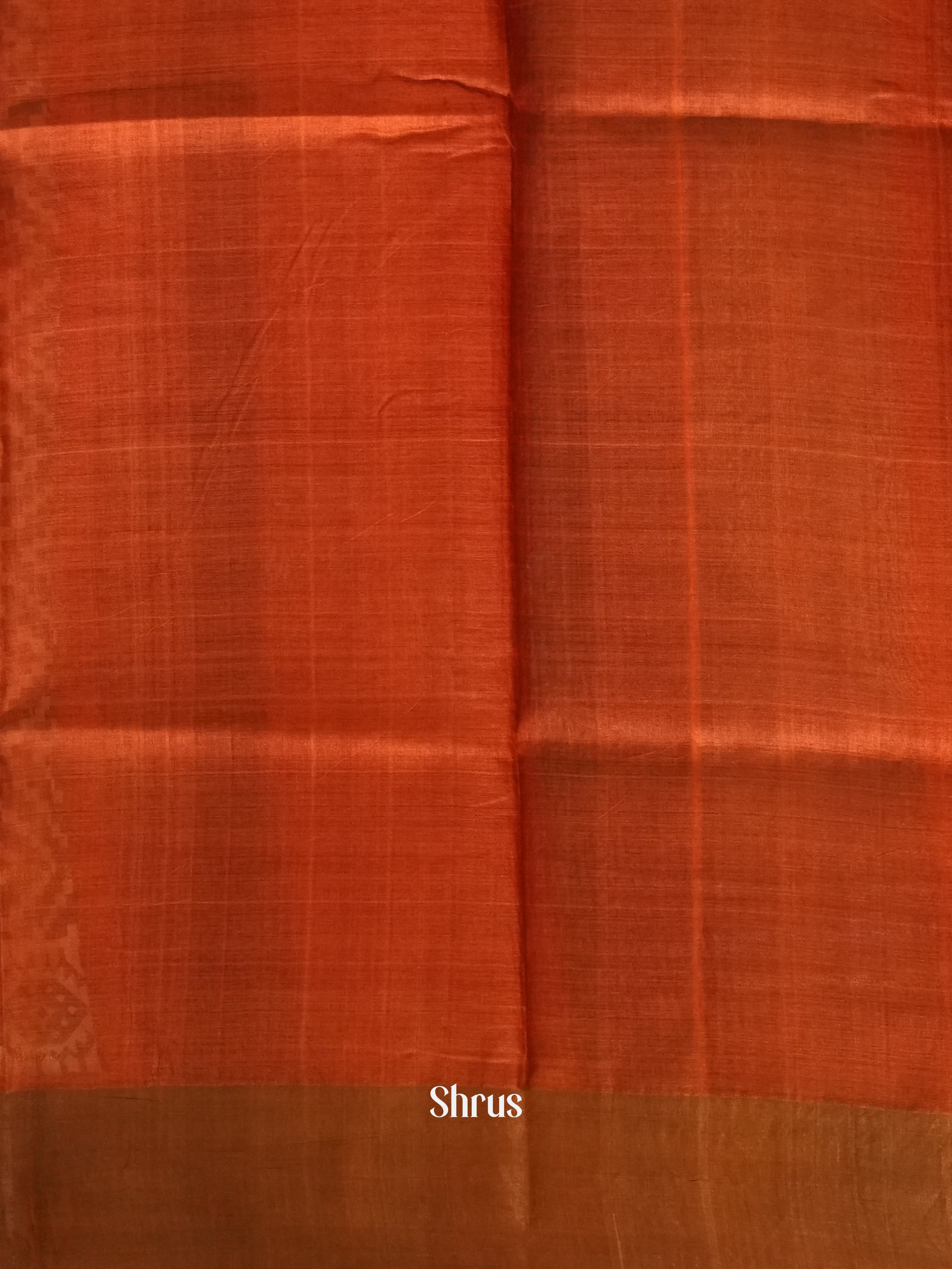 Green And Brick- Tussar Saree