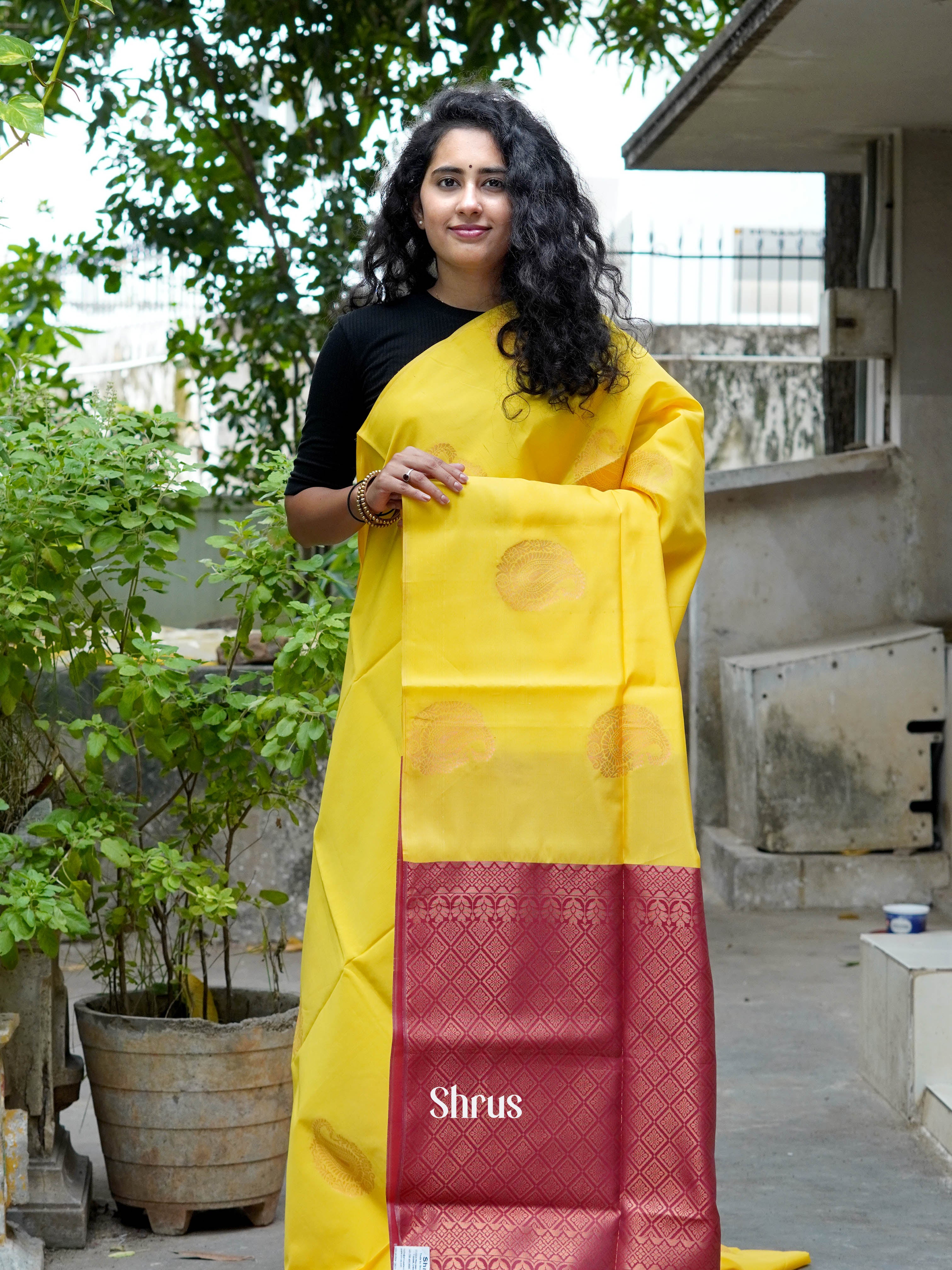 BKS07129 - Semi Softsilk Saree