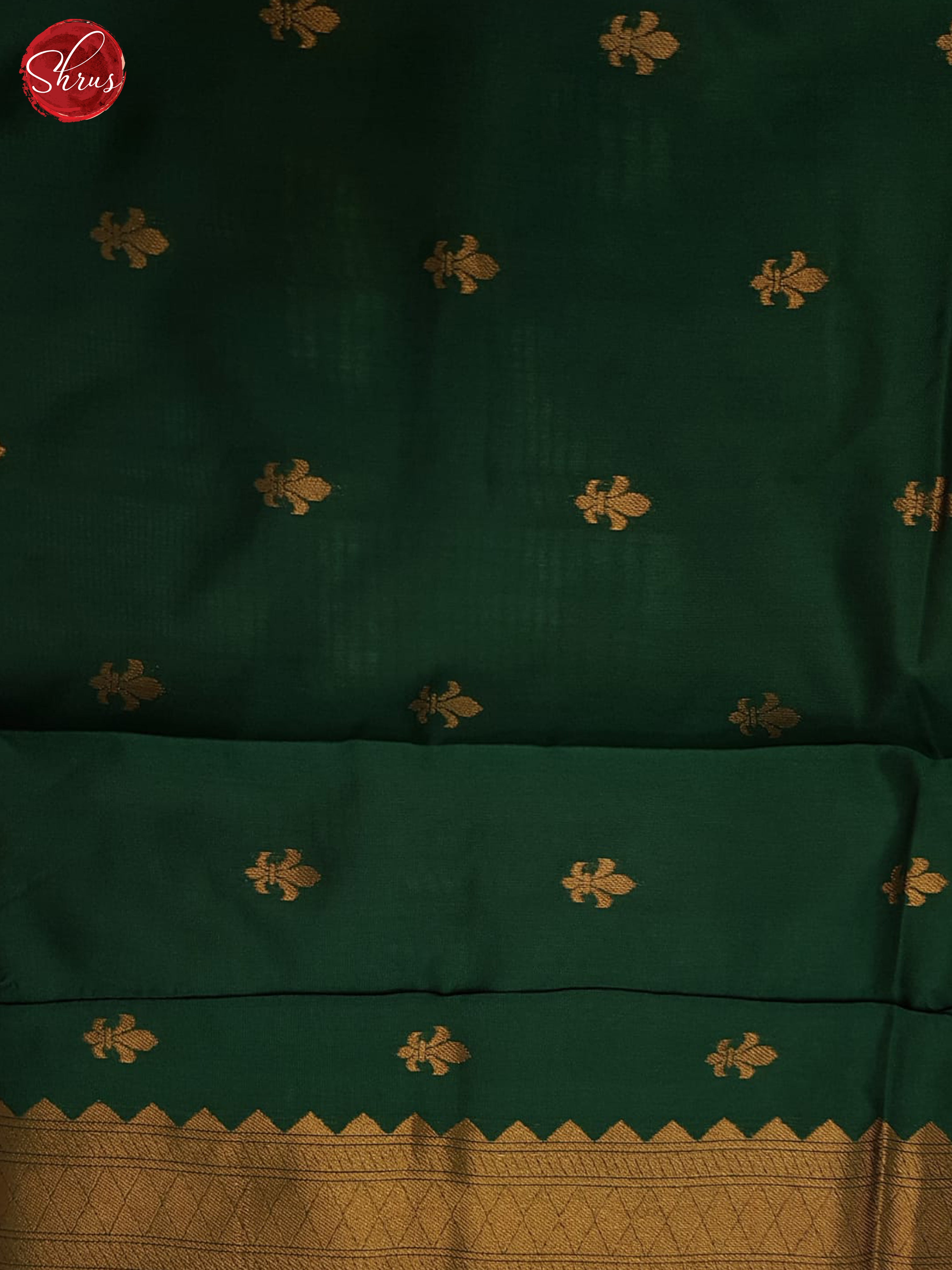 Pastel Green & Green -Semi Softsilk Saree - Shop on ShrusEternity.com