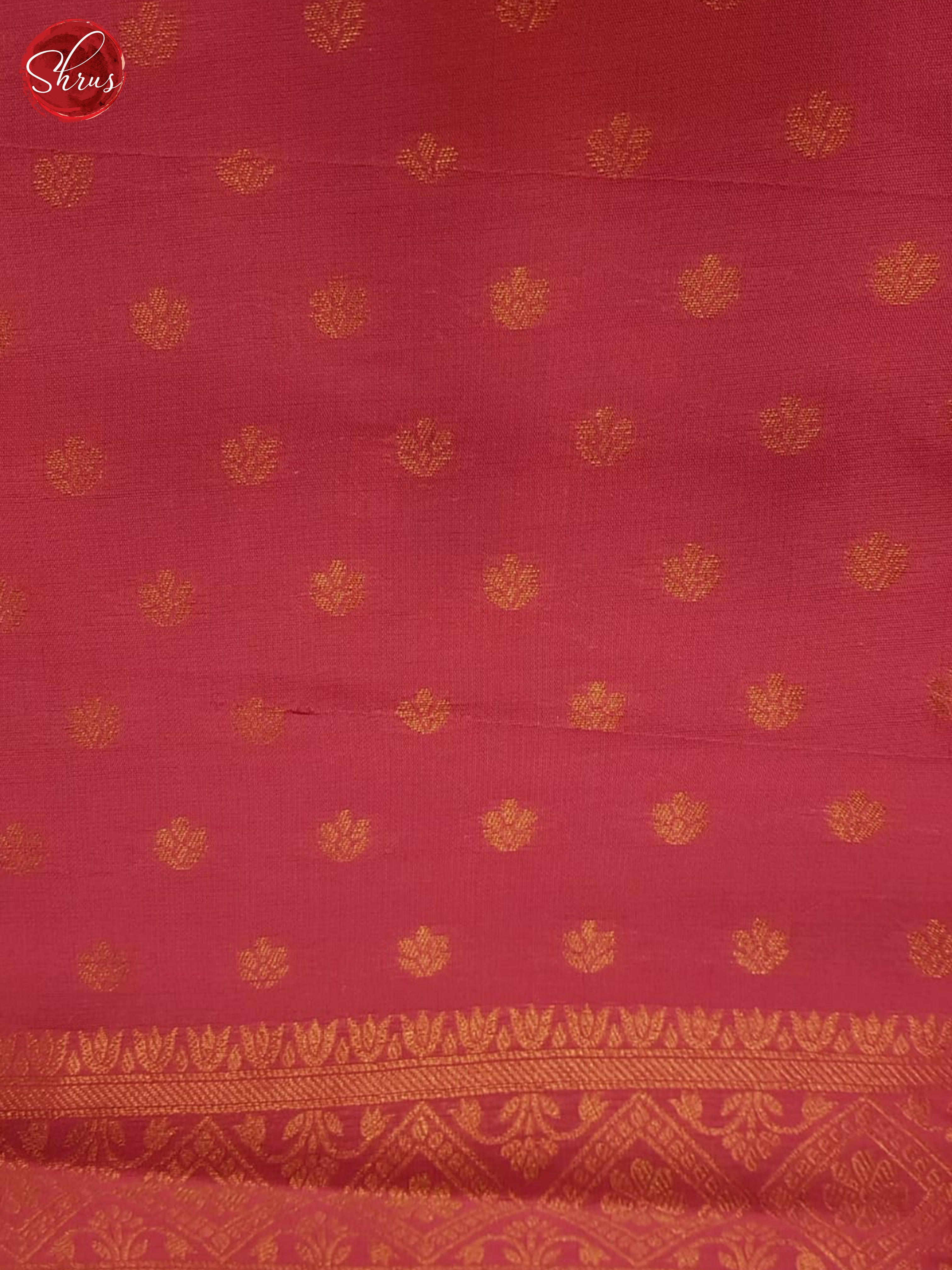 Blue & Pink - Semi Softsilk Saree - Shop on ShrusEternity.com