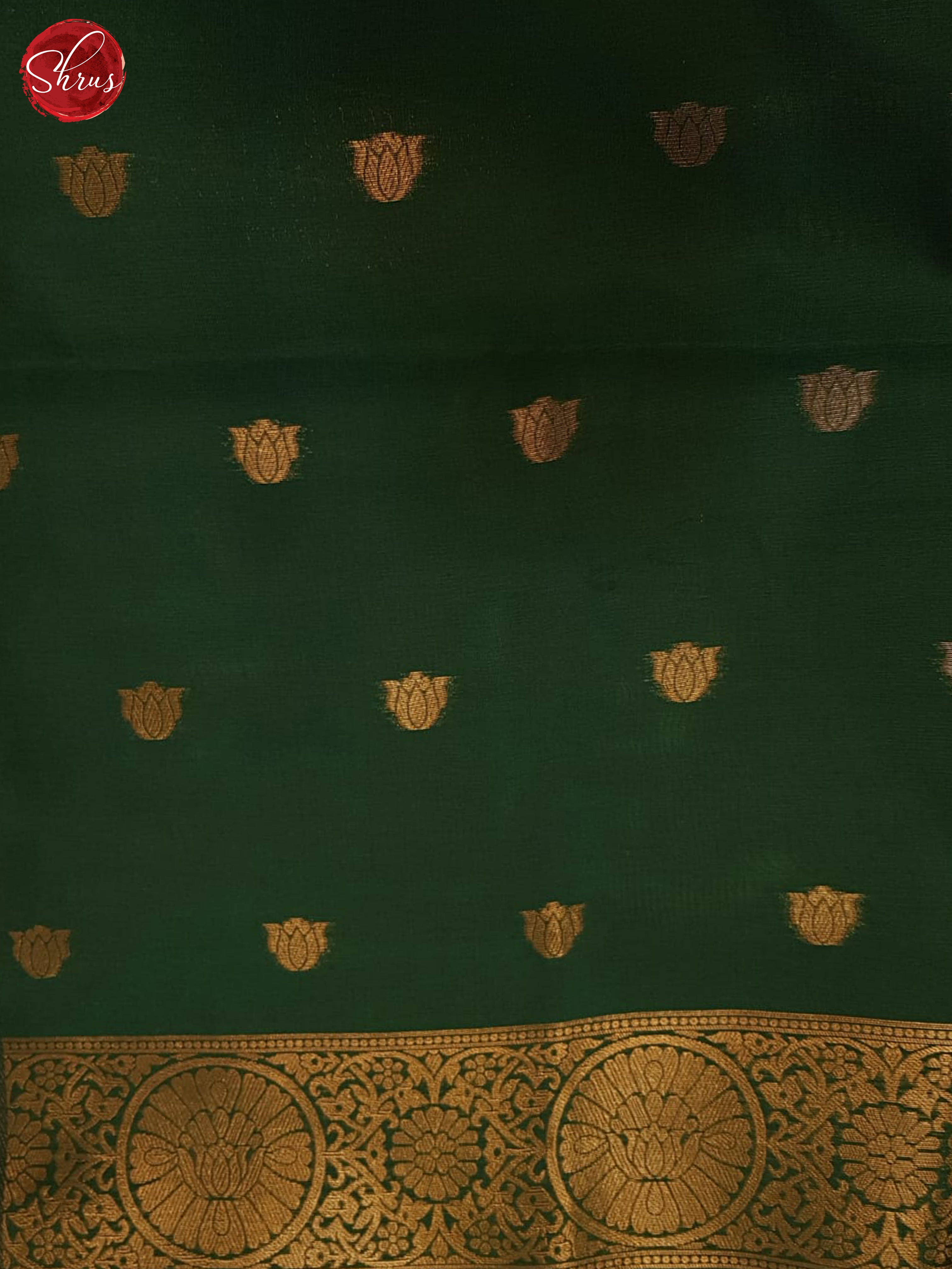 Mustard & Green - Semi soft silk Saree - Shop on ShrusEternity.com