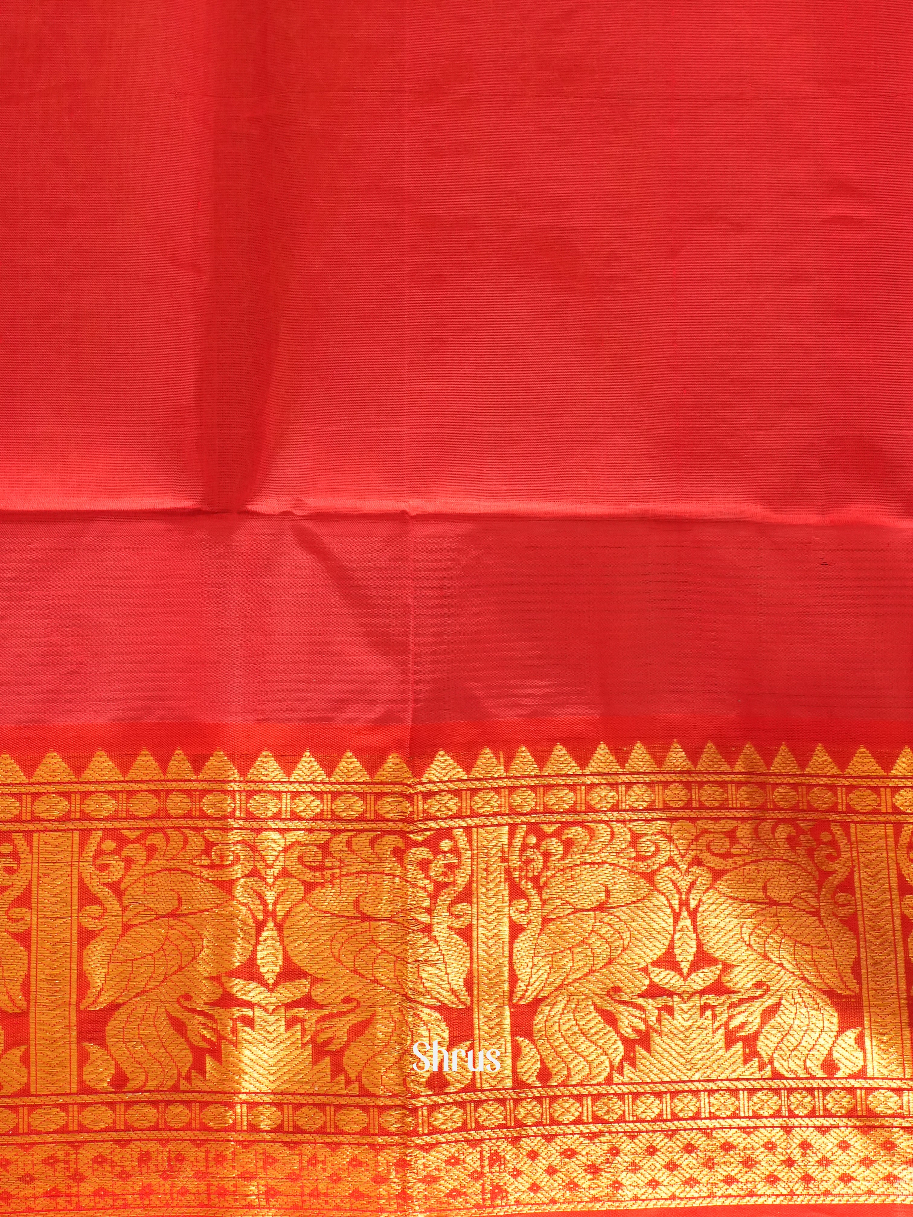 beige and red - Silk Cotton Saree