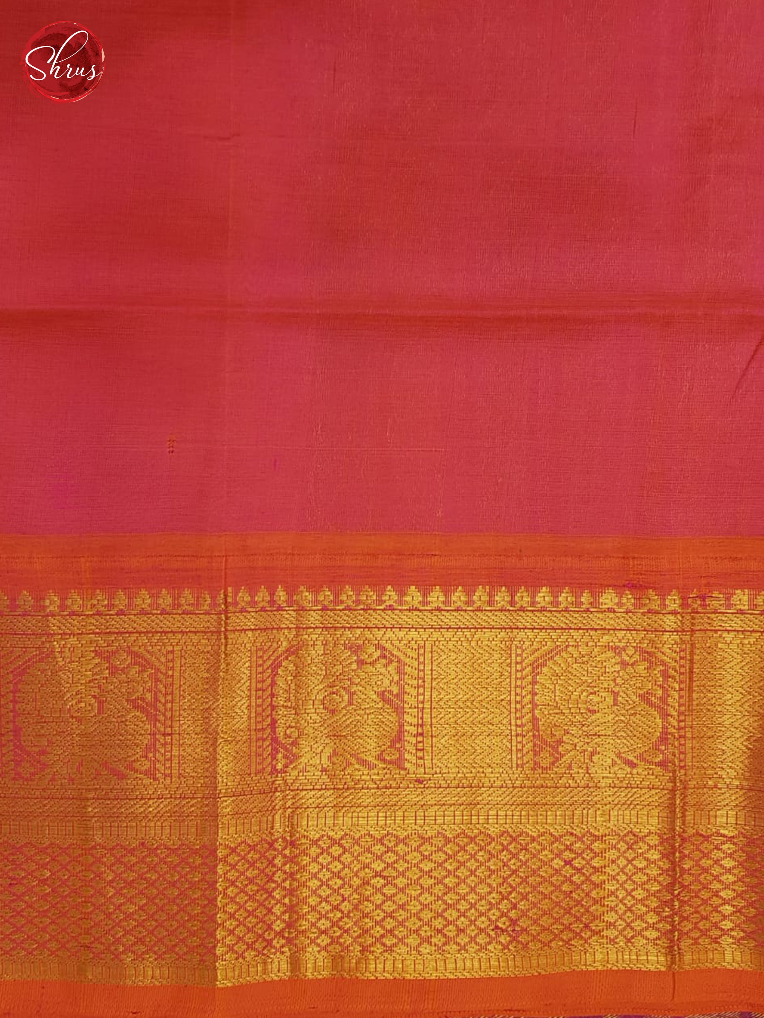 Blue And Pink-Silk Cotton Saree - Shop on ShrusEternity.com