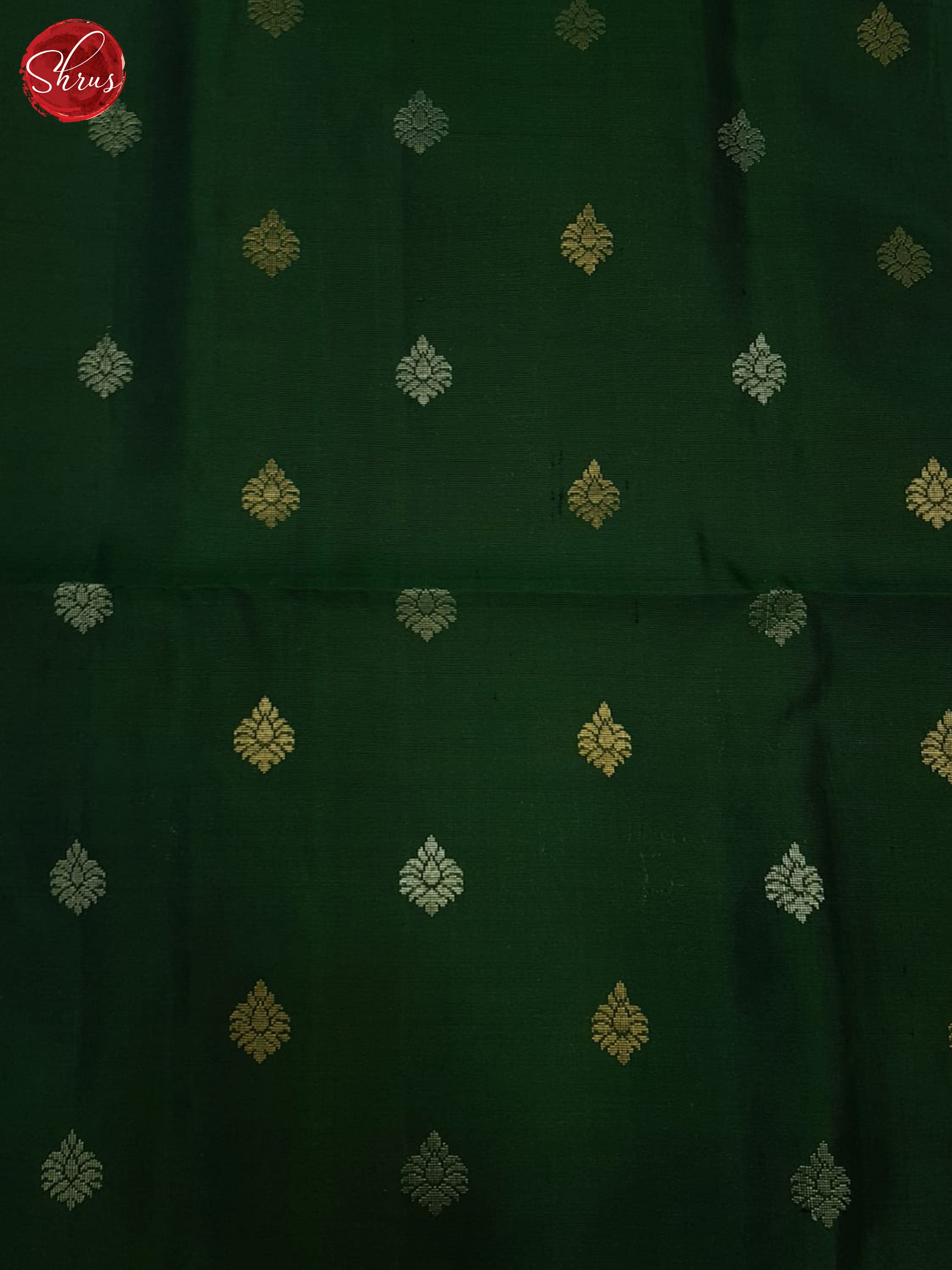 Light Green and Green-Soft Silk Saree - Shop on ShrusEternity.com