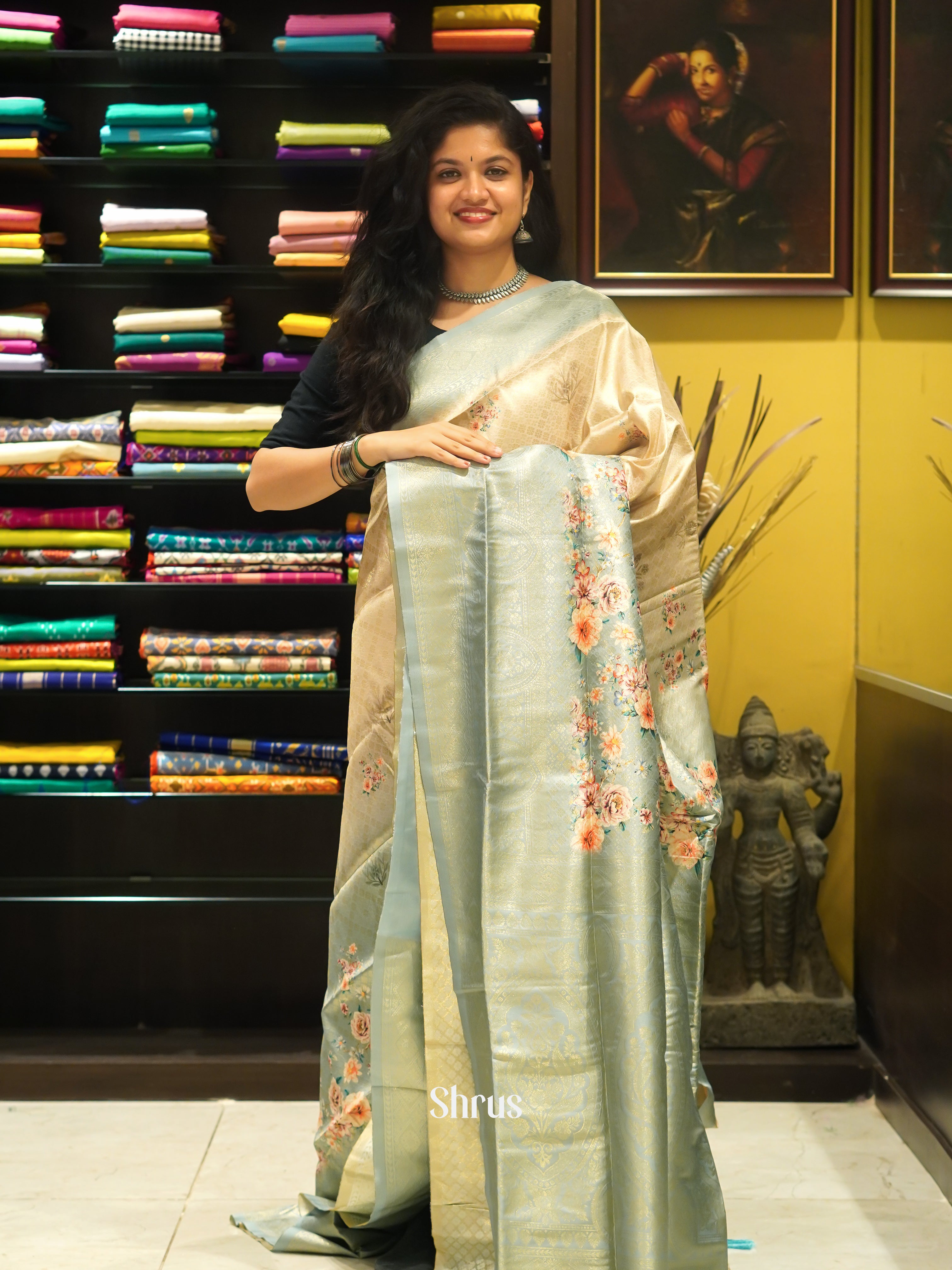 Bluish Grey  & Beige- Semi Georgette Saree