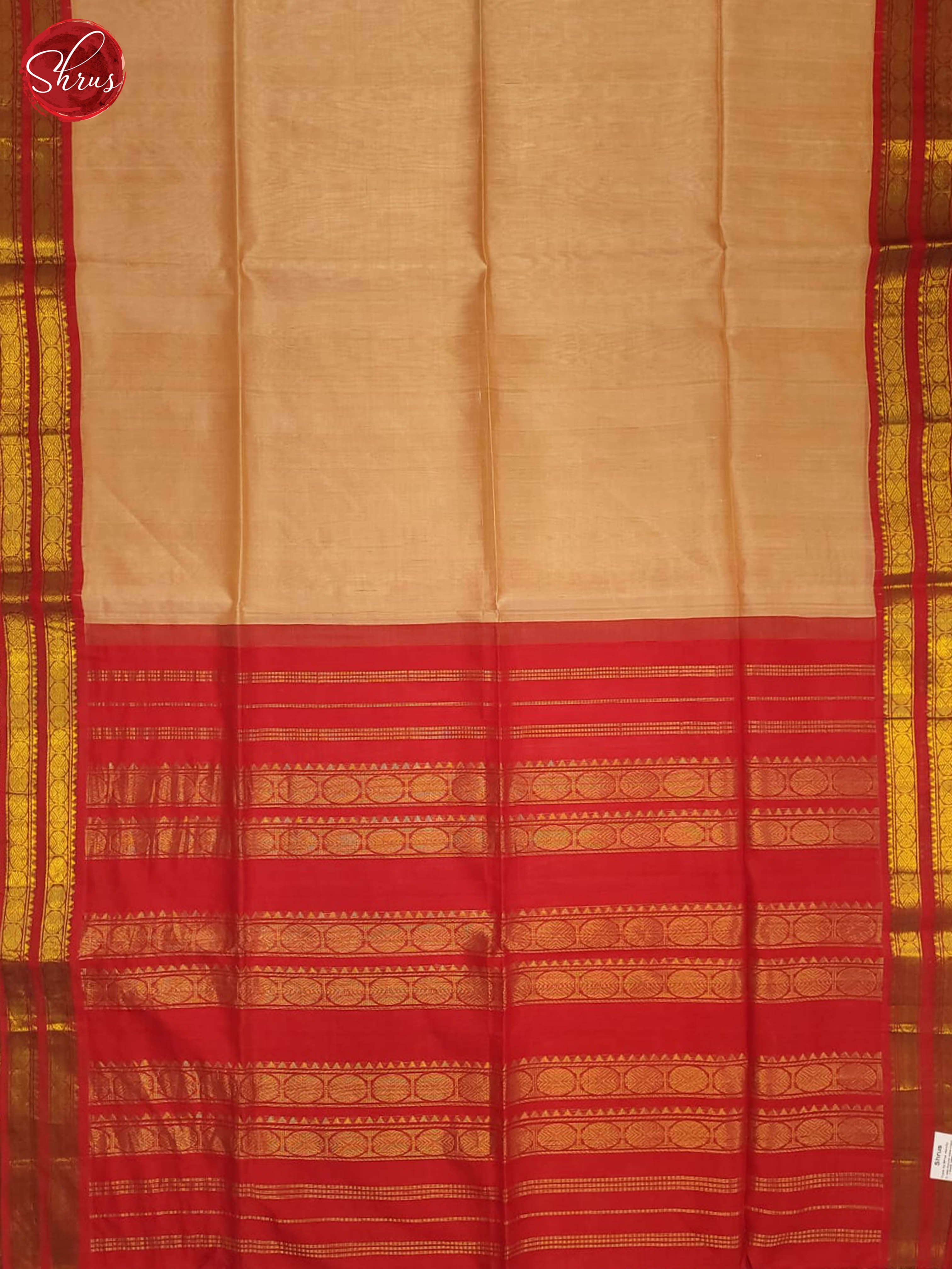 BTS24195 - Silk Cotton Saree - Shop on ShrusEternity.com